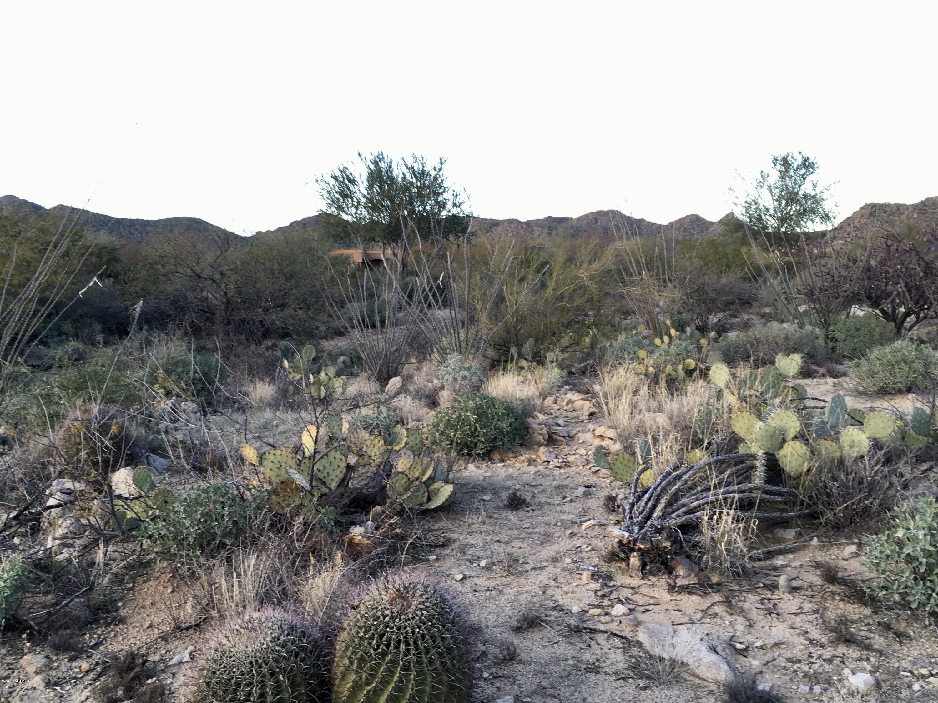 Stone Canyon I - Land
