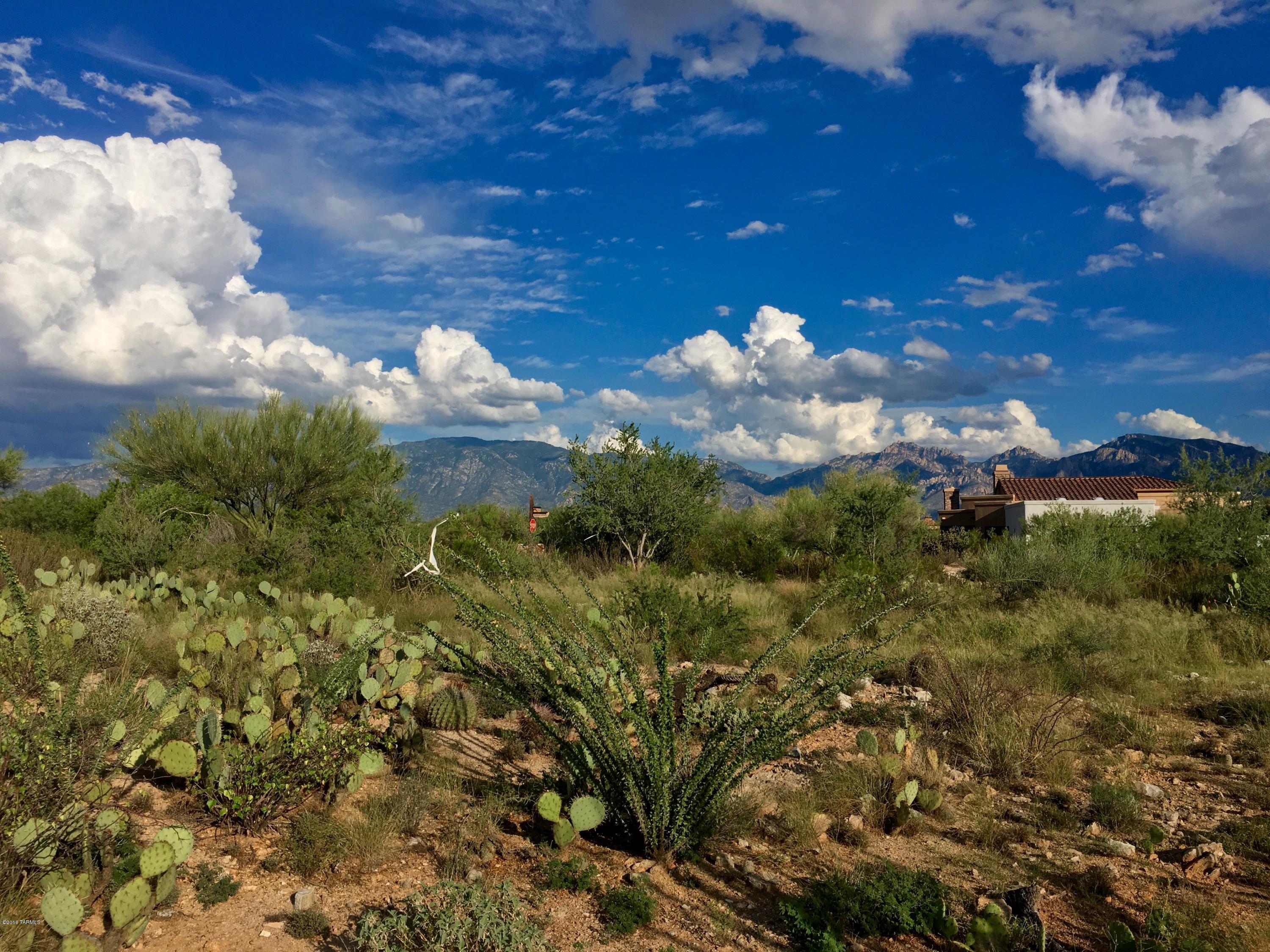 Stone Canyon I - Land