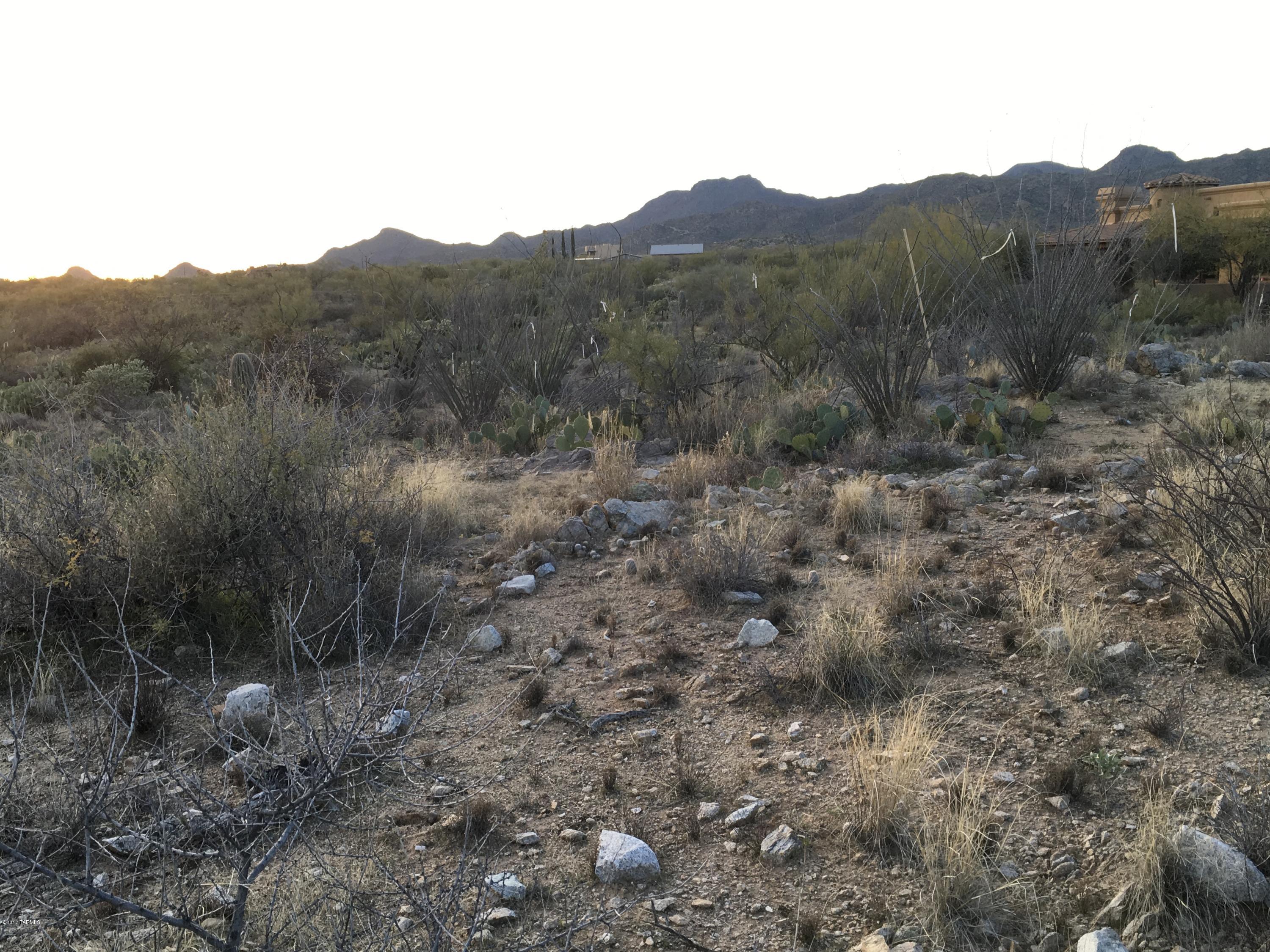 Stone Canyon I - Land