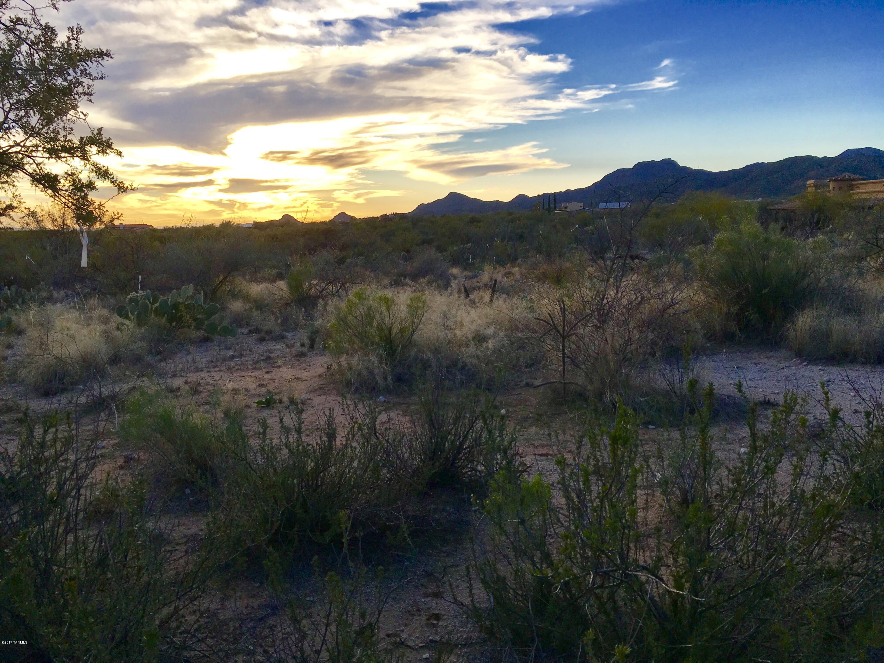 Adjacent to 26 Acres of Open Space! Fangastic corner lot in Stone Canyon with great views in every direction including Tortolita Mountains and Catalina Mountain Ranges  OUTSTANDING Sunsets from this easy build site.  Join in on the Exclusive Stone Canyon Club lifestyle - continuously ranks amongst the top 100 courses in the country.   Mark Soloway design available to view showing the beautiful home and layout potential of this site.  Agent available to show you this homesite along with all the first class amenities.