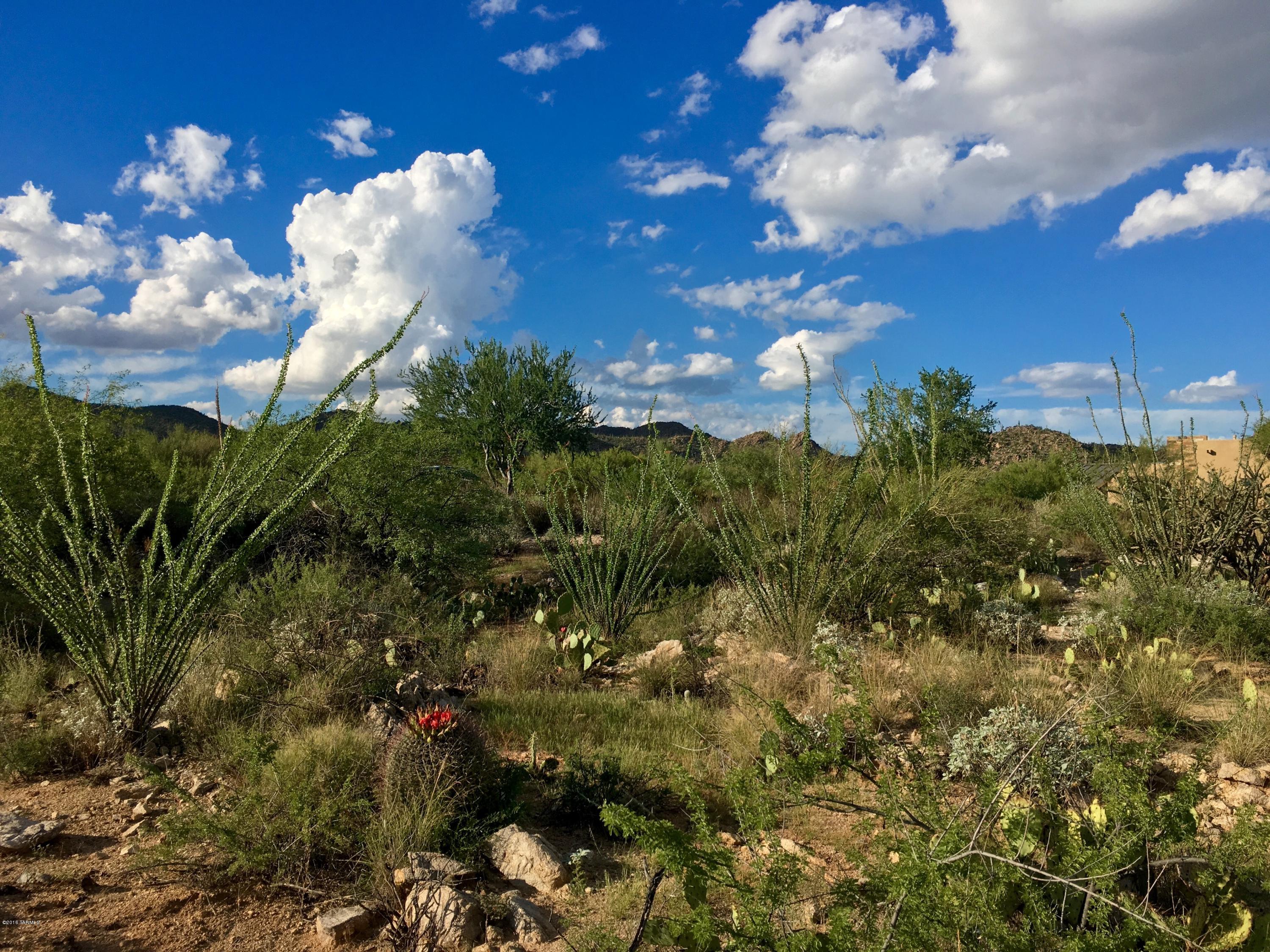 Stone Canyon I - Land