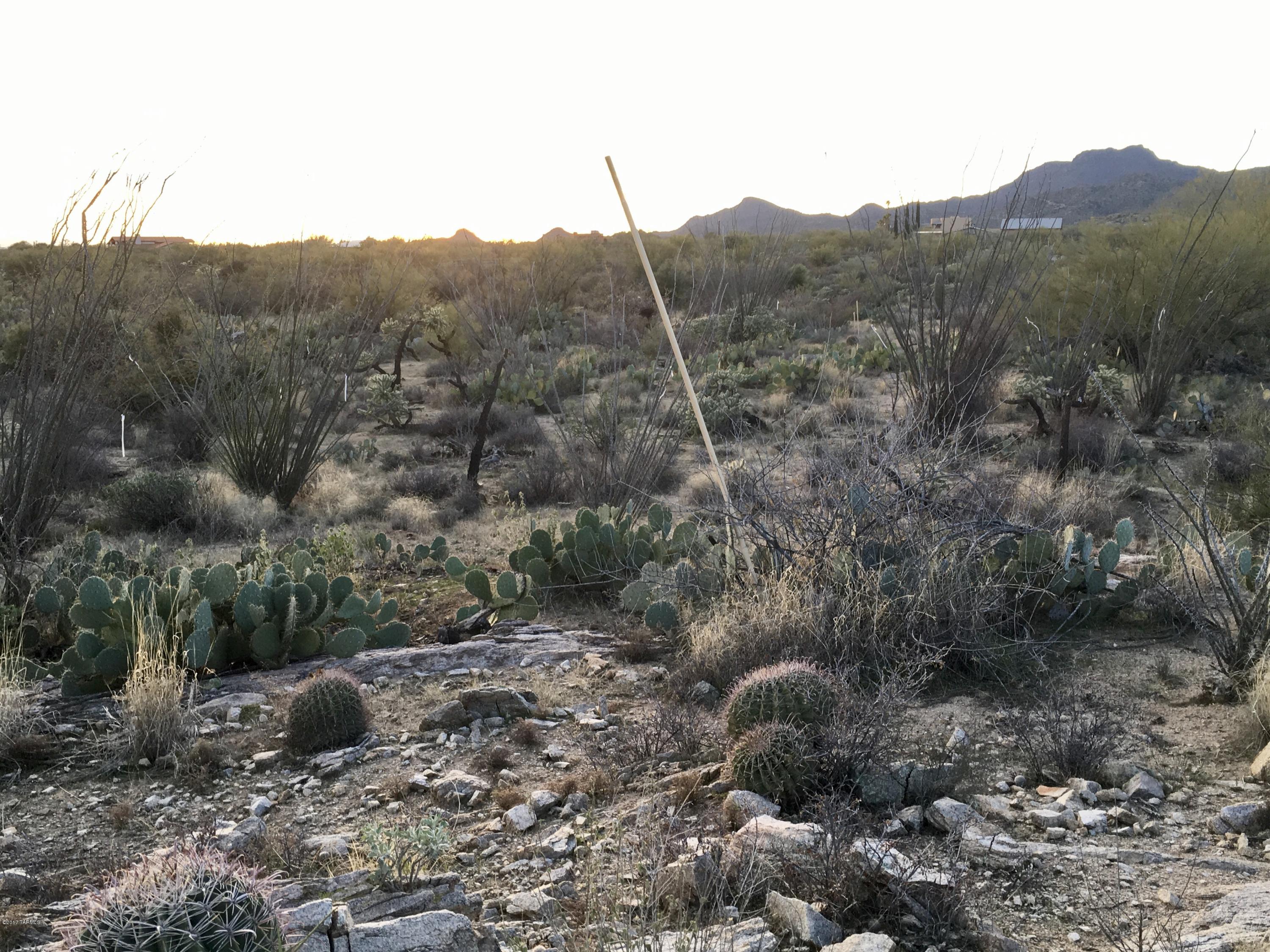 Stone Canyon I - Land
