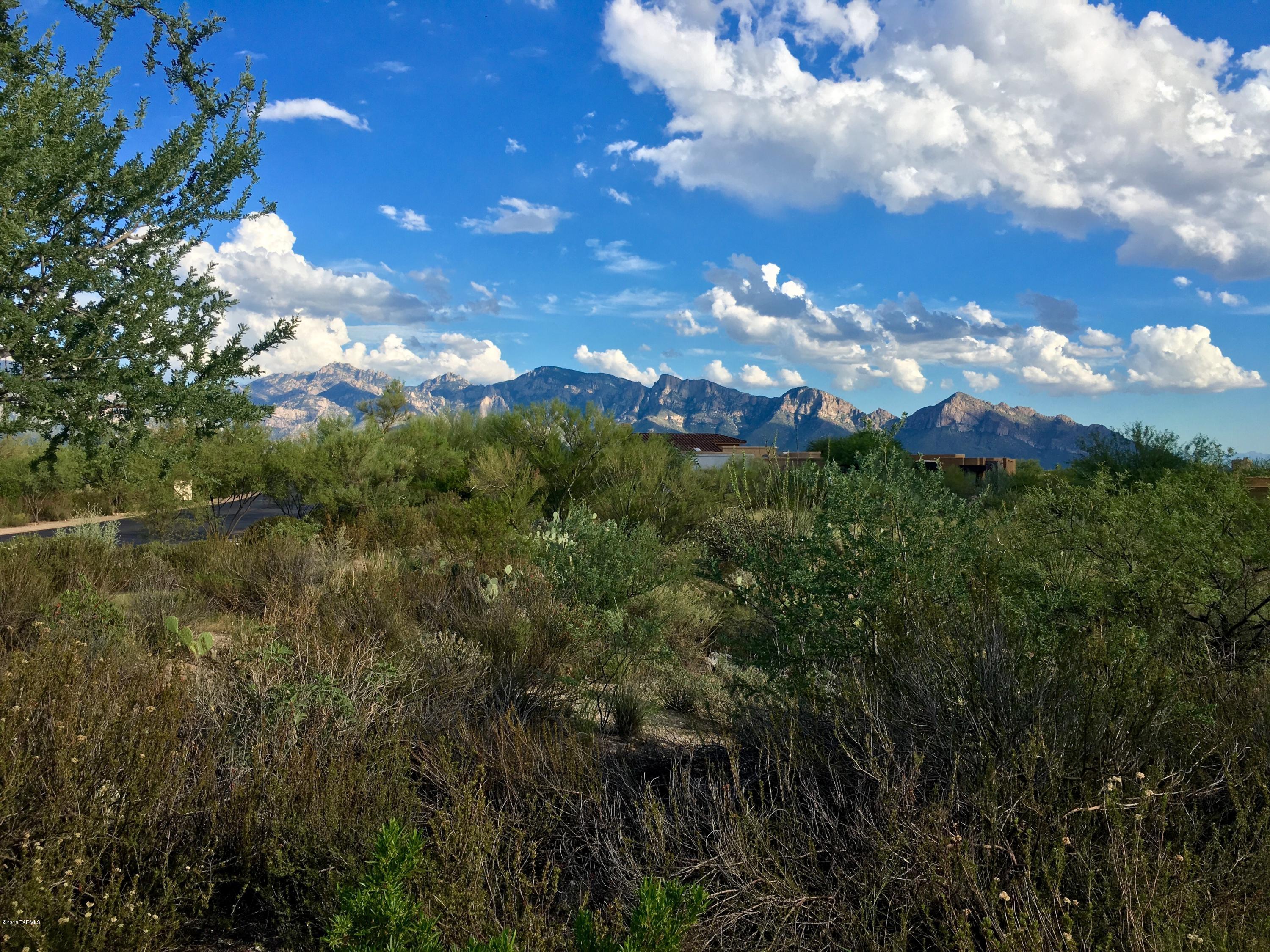 Stone Canyon I - Land