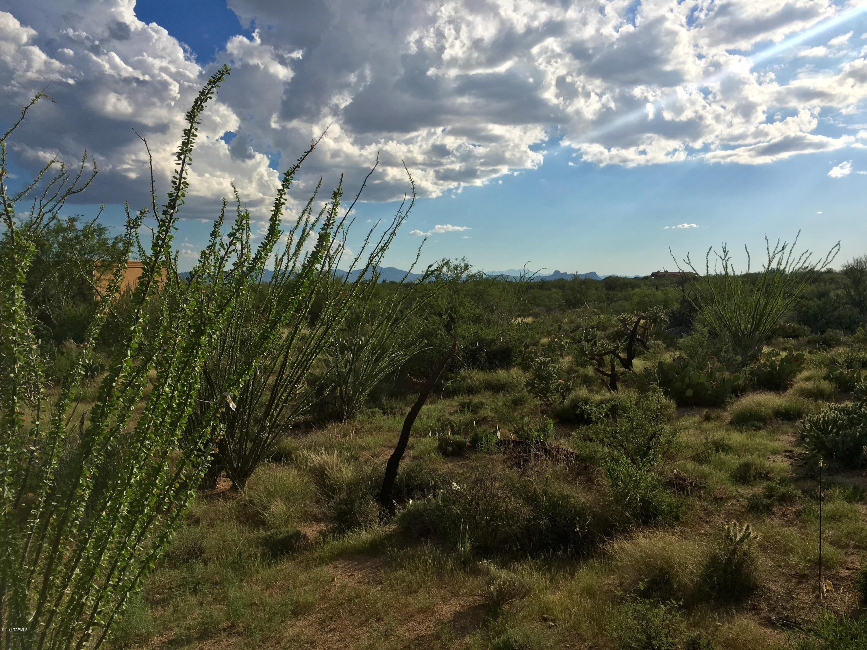 Stone Canyon I - Land