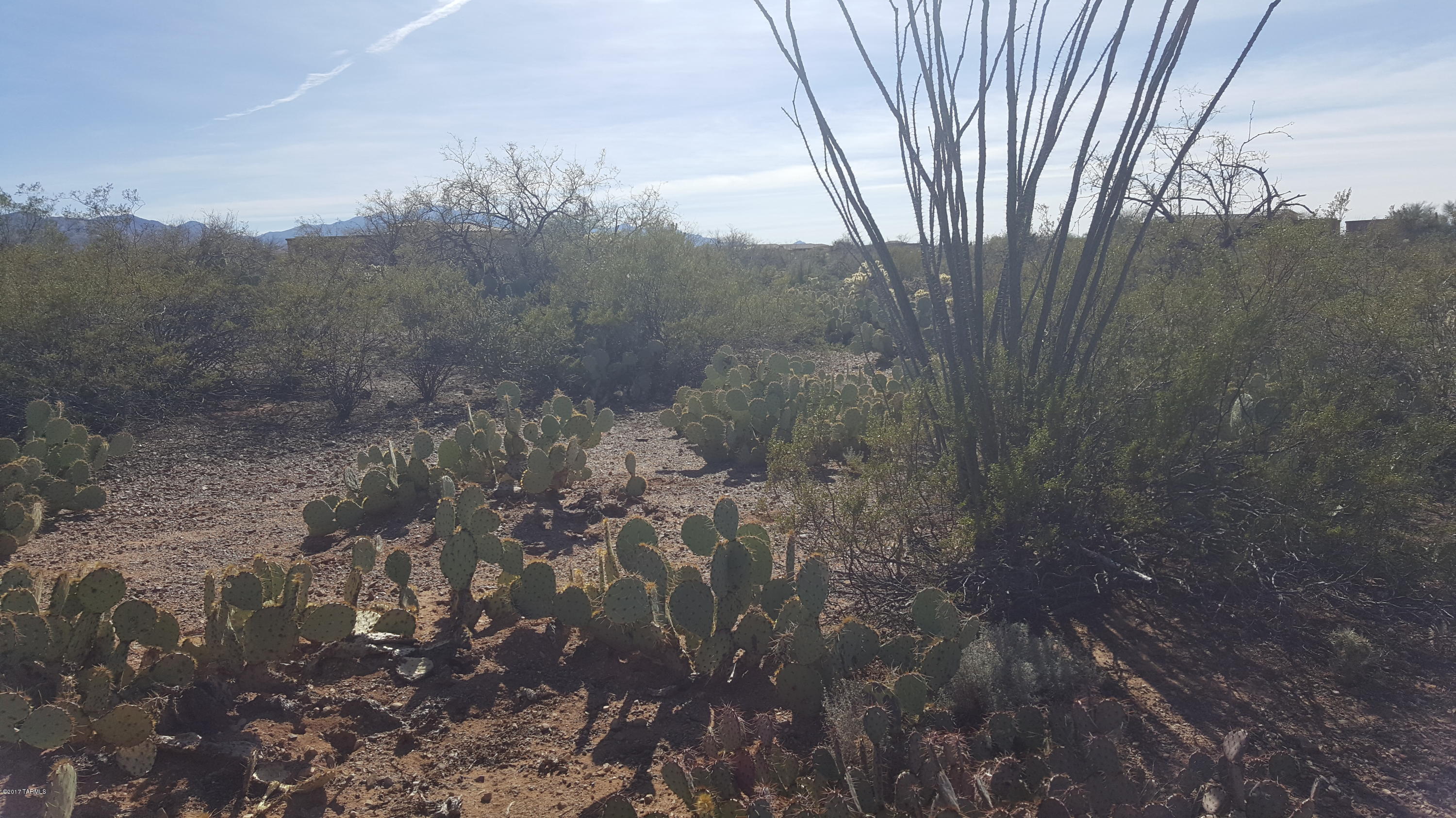 Excellent custom home building lot in the gated community of Sycamore Springs. Located on a quiet paved street on a cul-de-sac, this flat lot surrounded by pristine desert offers 360 degree views, flat, easy to build site, the award winning Vail School District and much more.