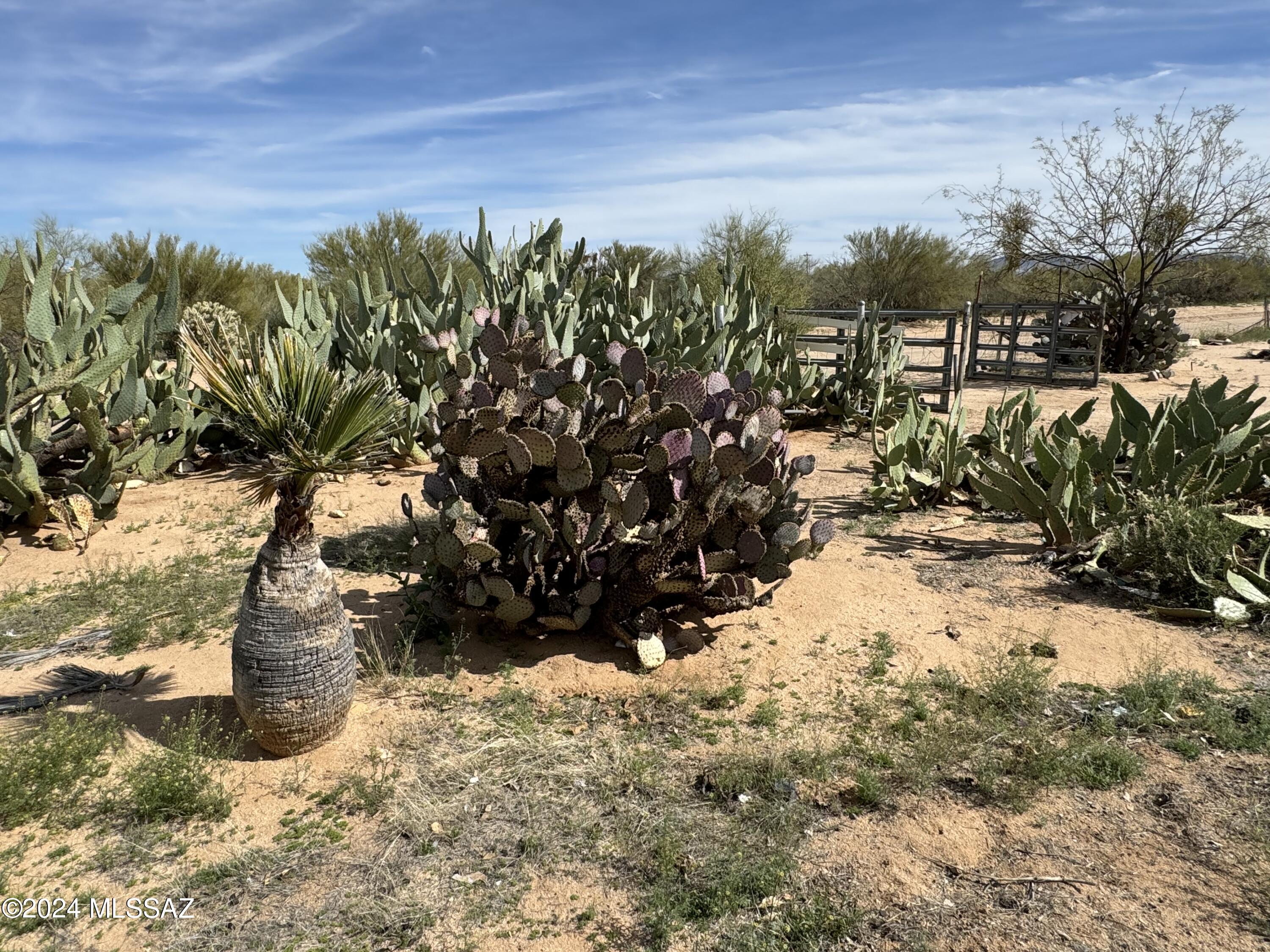 Diamond Bell Ranch - Tucson (1-229) - Land
