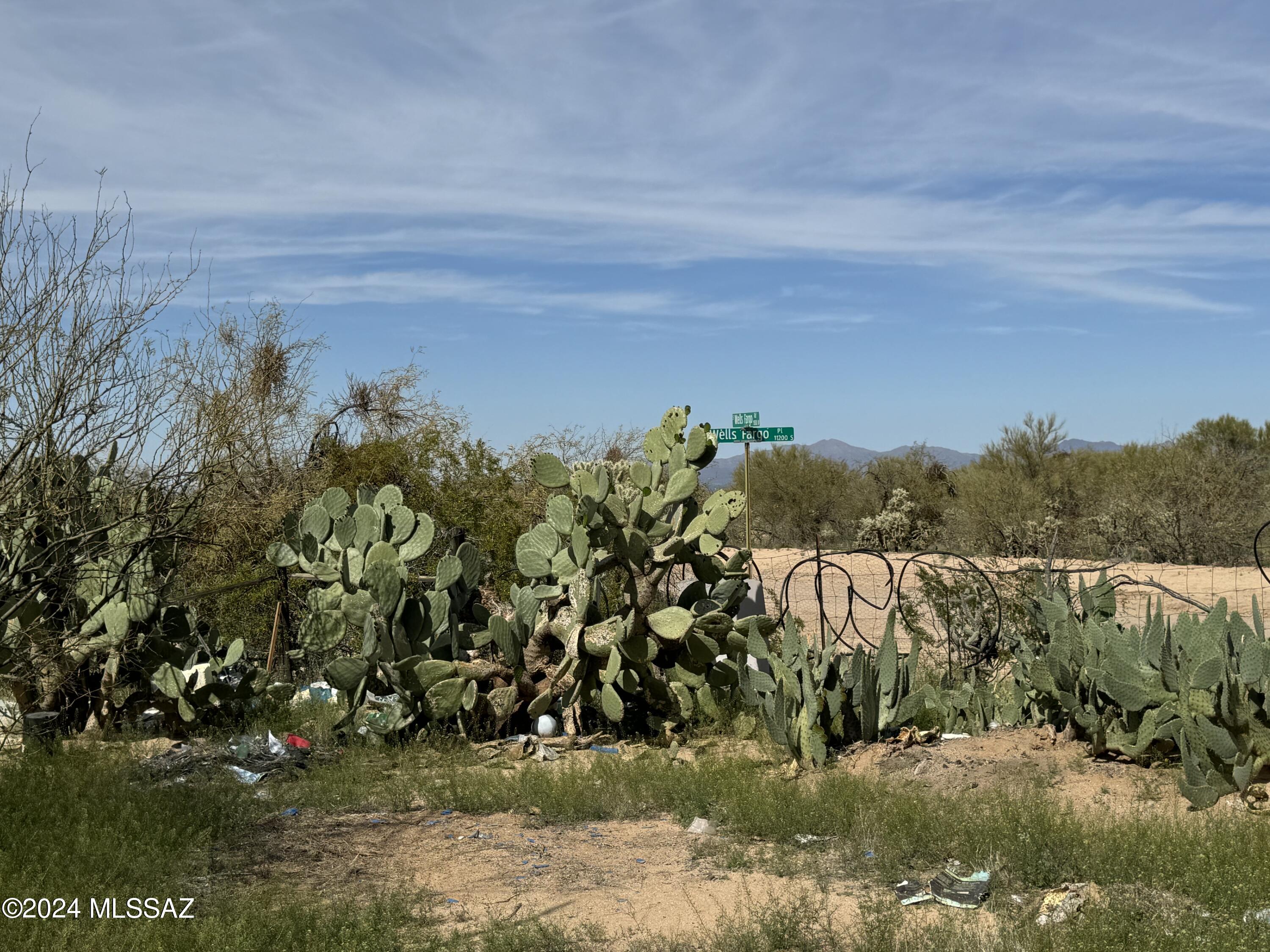 Diamond Bell Ranch - Tucson (1-229) - Land