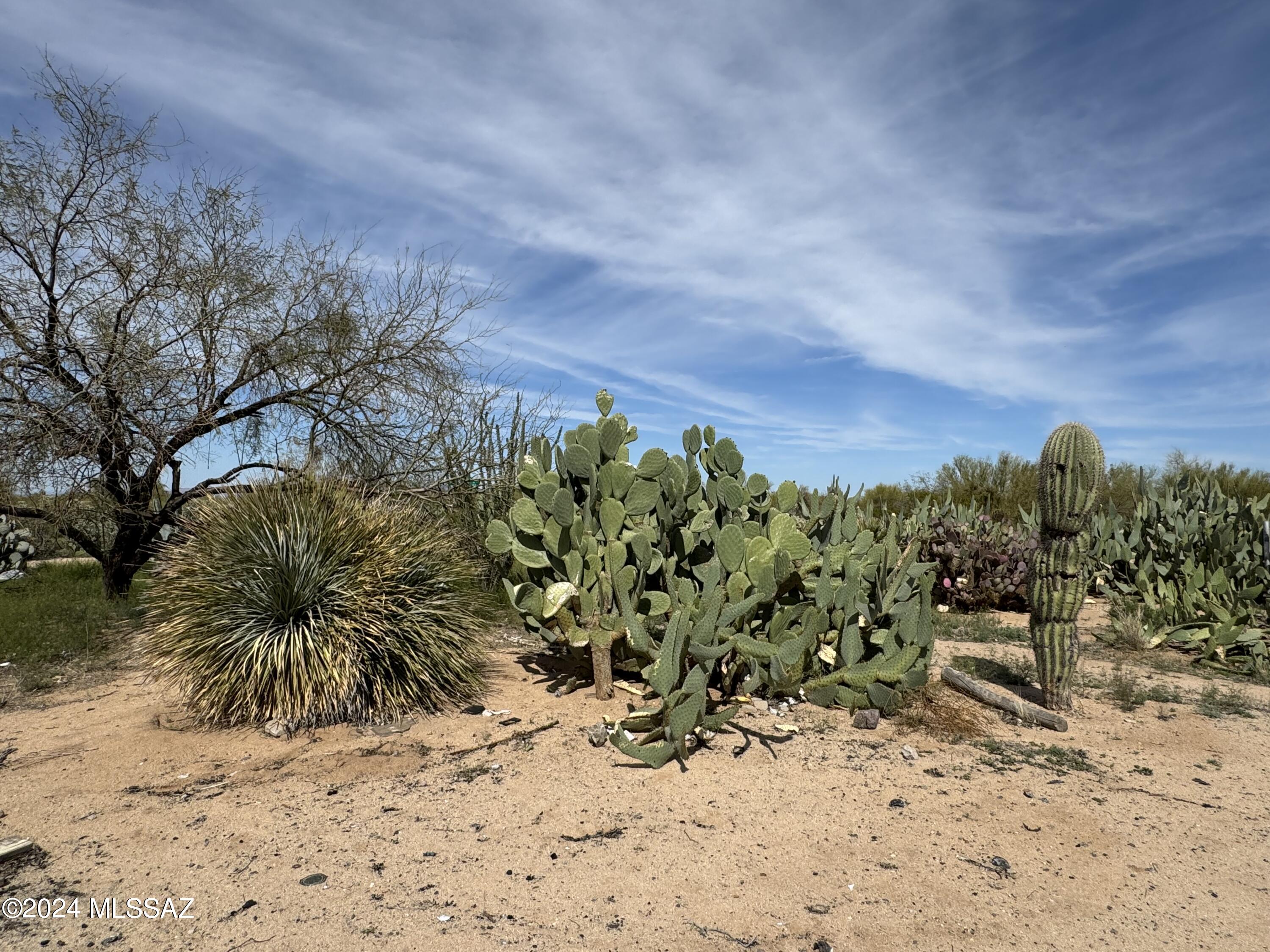 Diamond Bell Ranch - Tucson (1-229) - Land