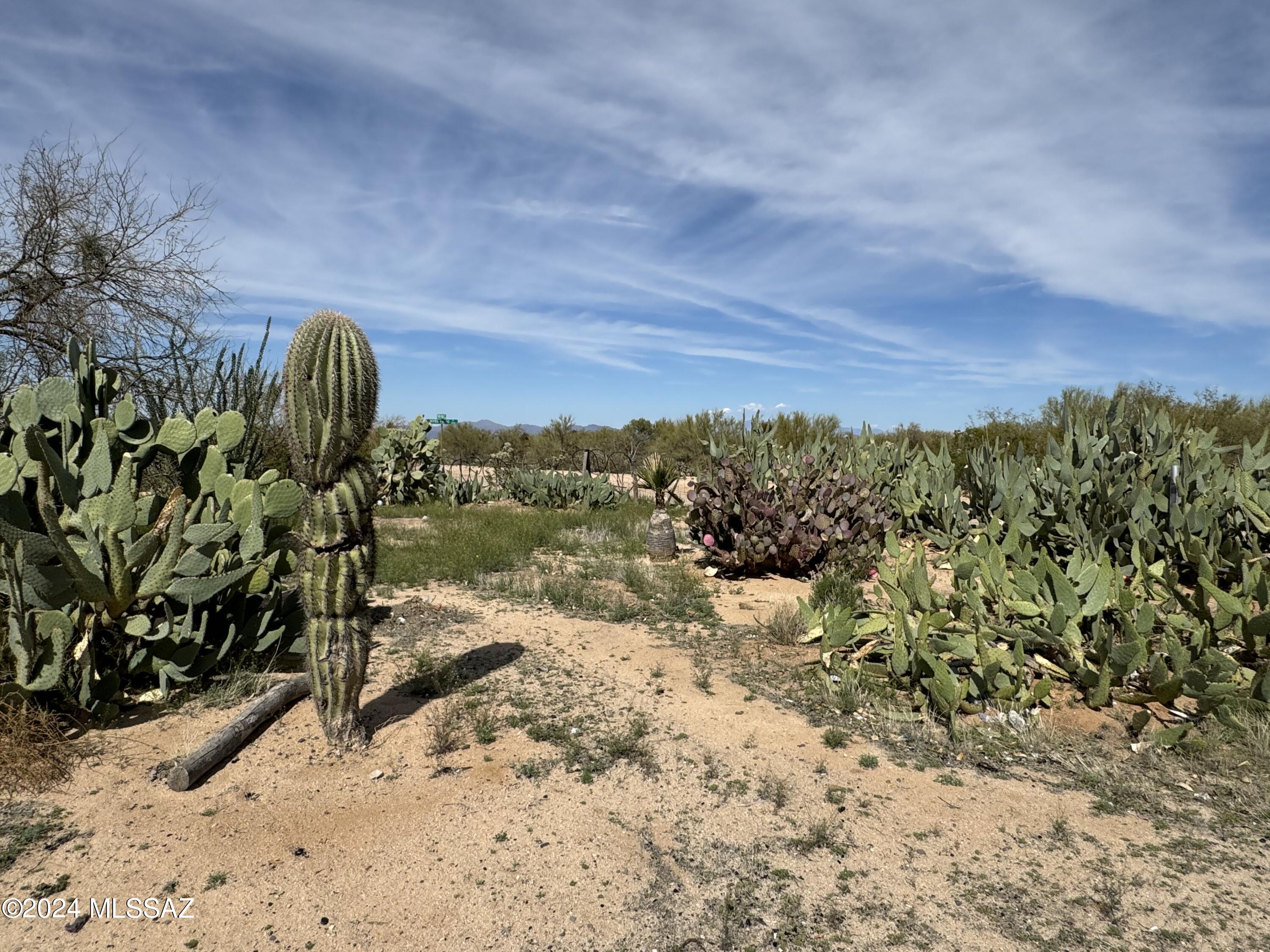 Diamond Bell Ranch - Tucson (1-229) - Land