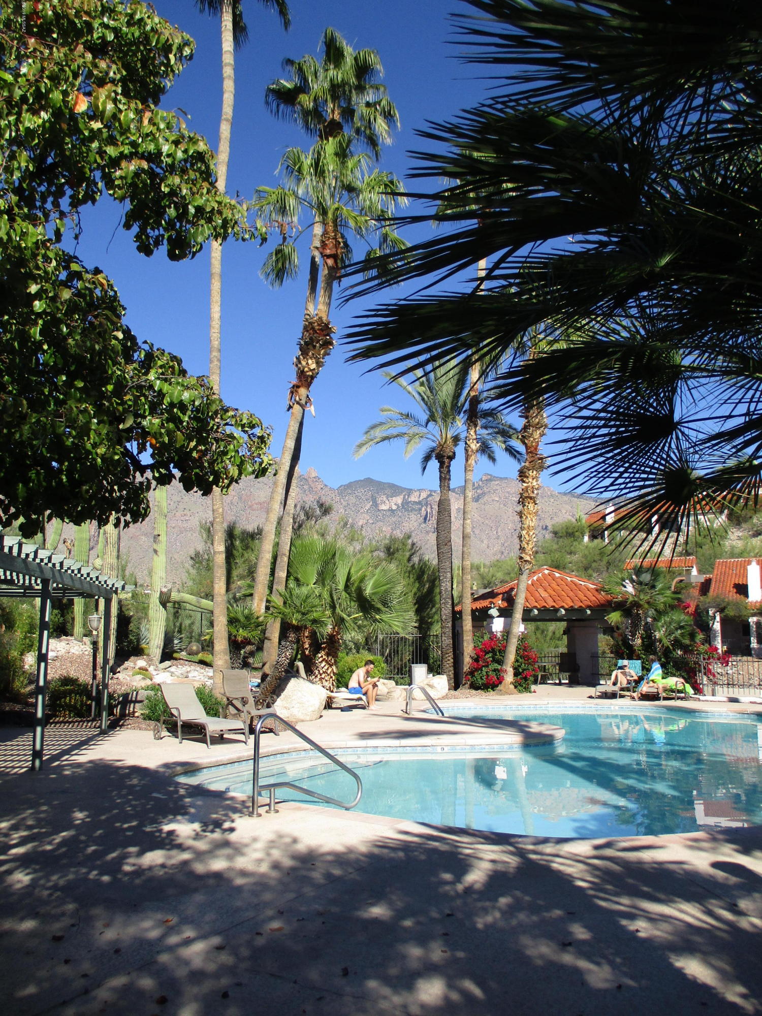 Tierra Catalina Condominium (1-120) - Residential