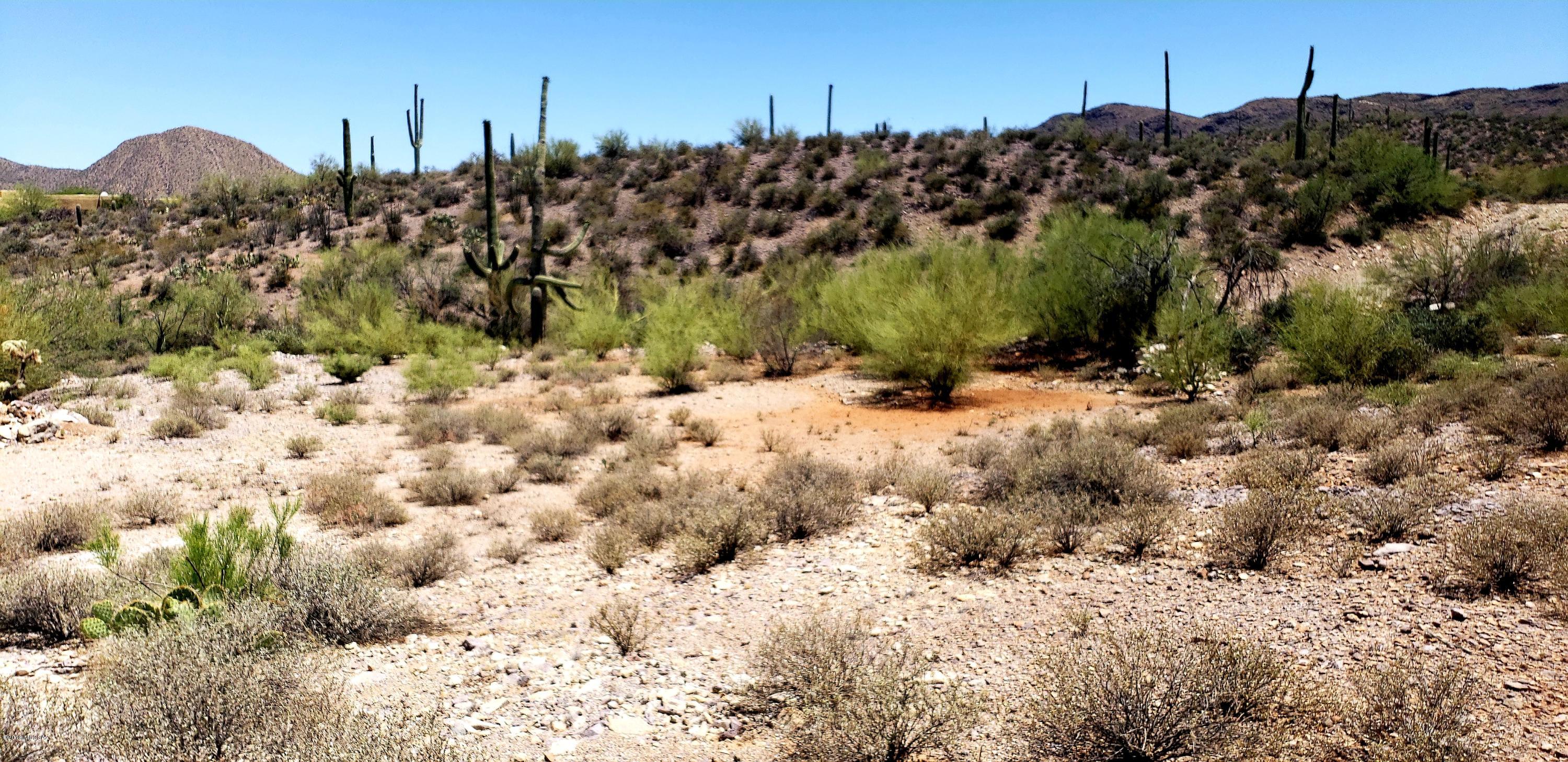 Saguaro Cliffs (1-61) - Land
