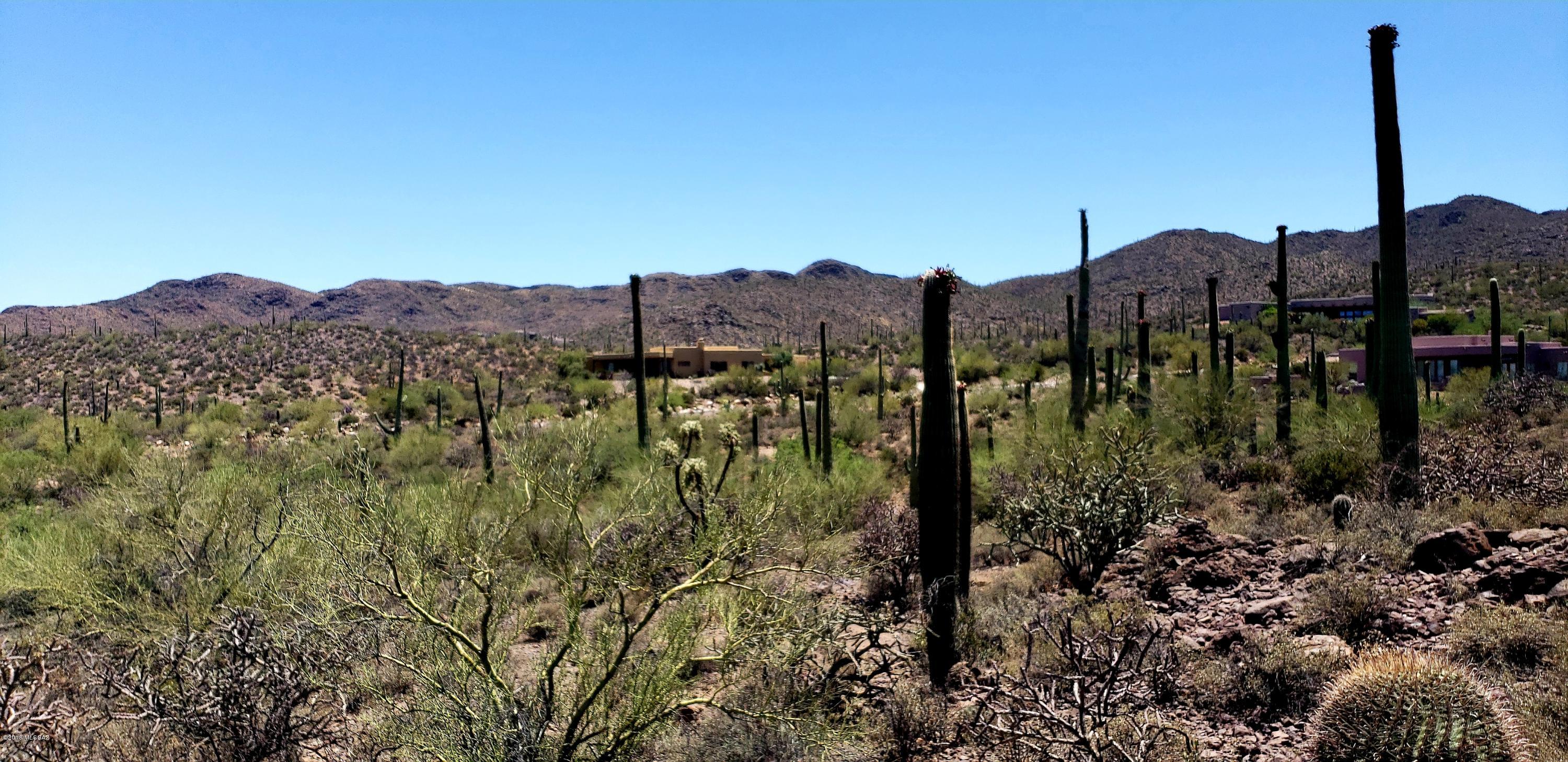 Saguaro Cliffs (1-61) - Land