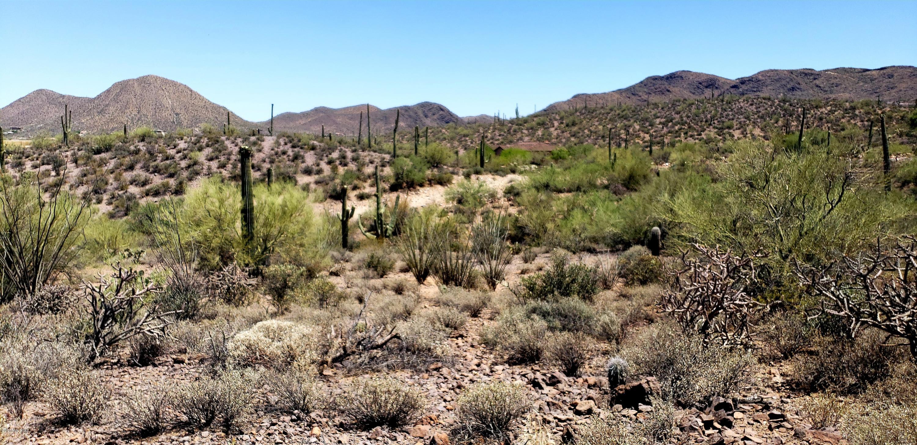 Saguaro Cliffs (1-61) - Land