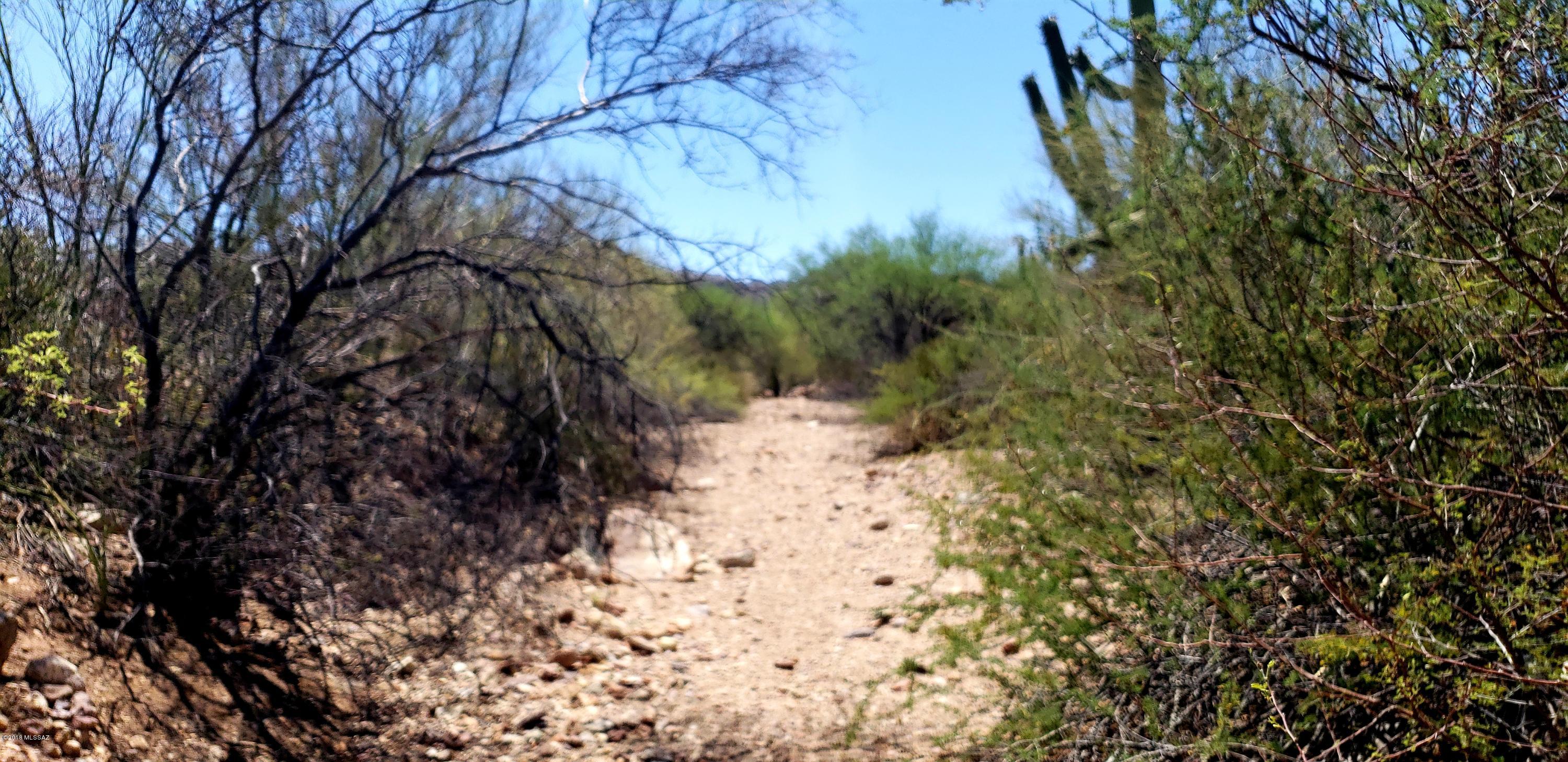 Saguaro Cliffs (1-61) - Land