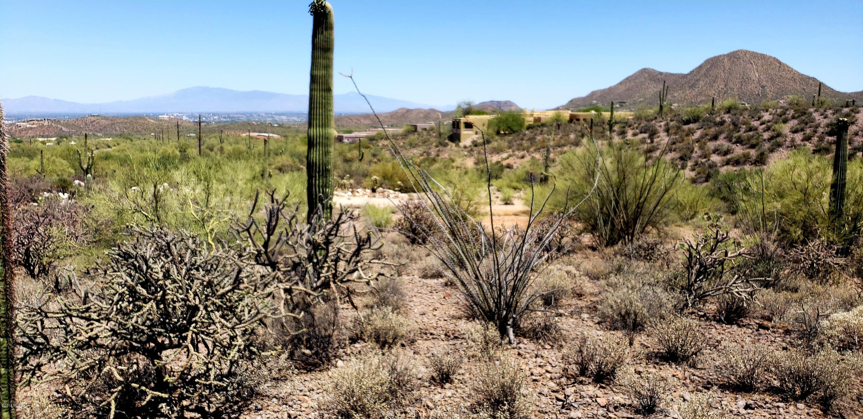 Saguaro Cliffs (1-61) - Land