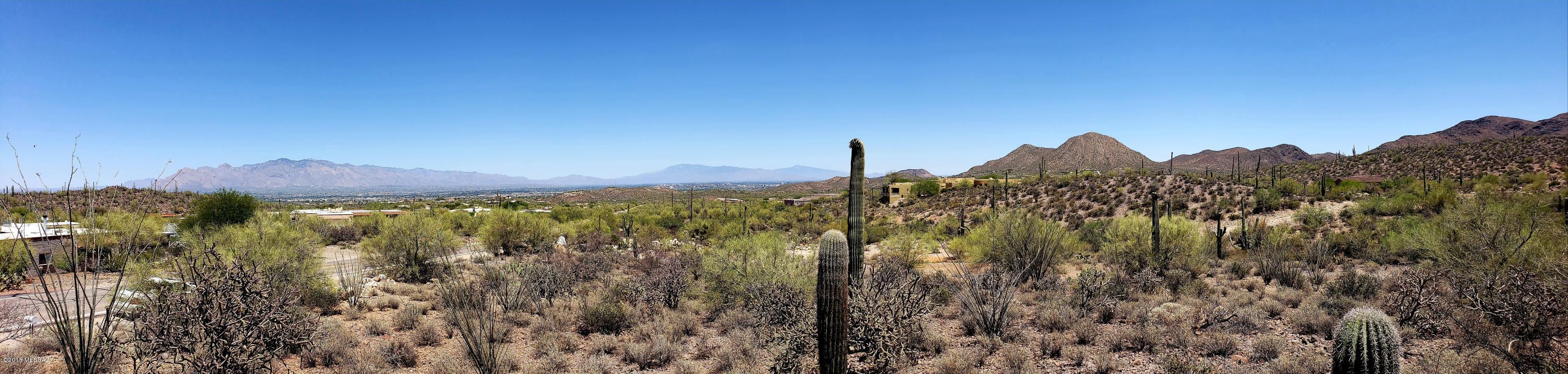 Saguaro Cliffs (1-61) - Land