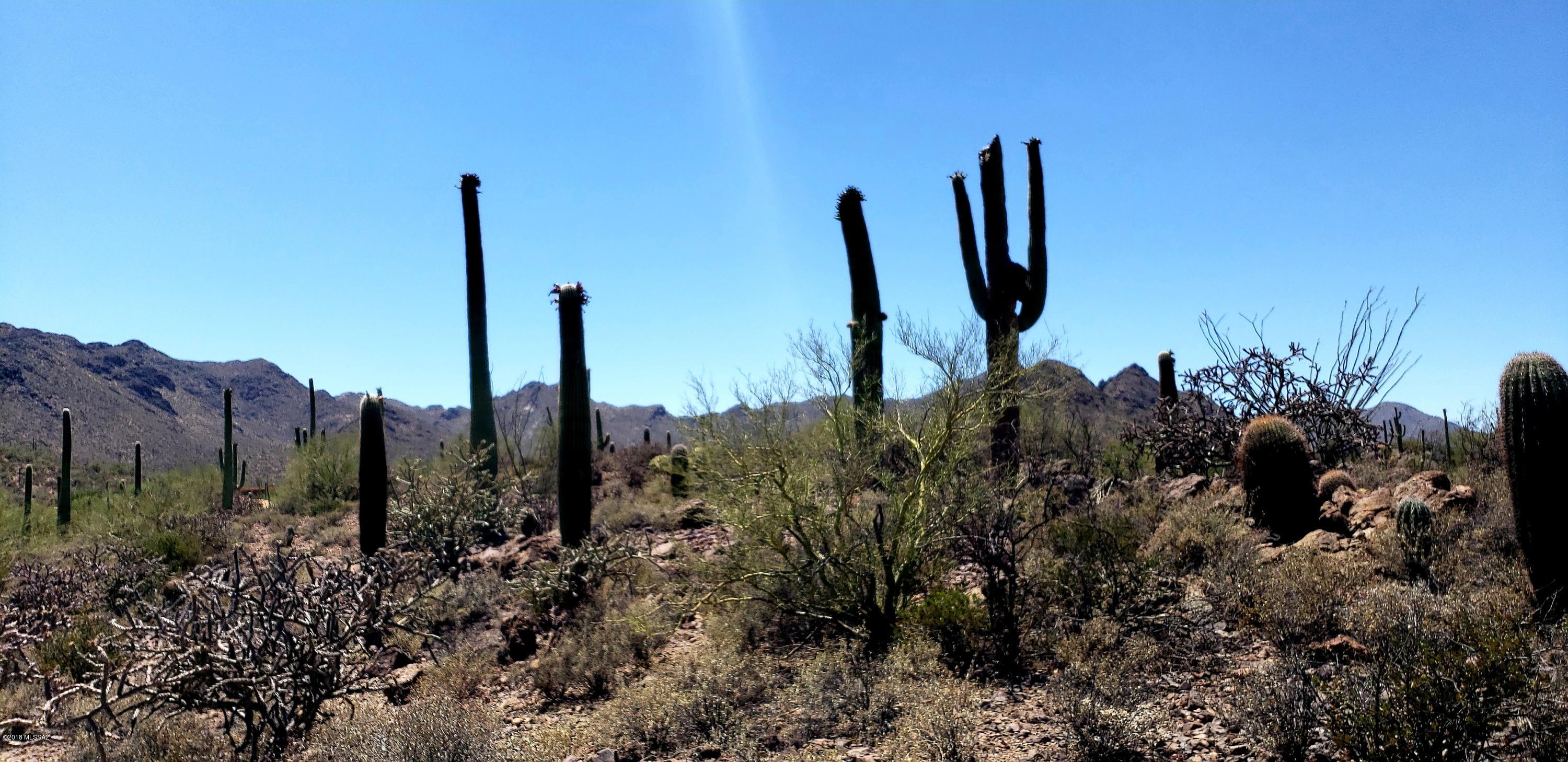 Saguaro Cliffs (1-61) - Land