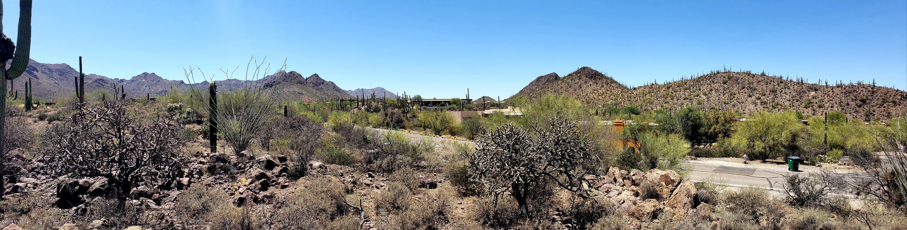 Saguaro Cliffs (1-61) - Land