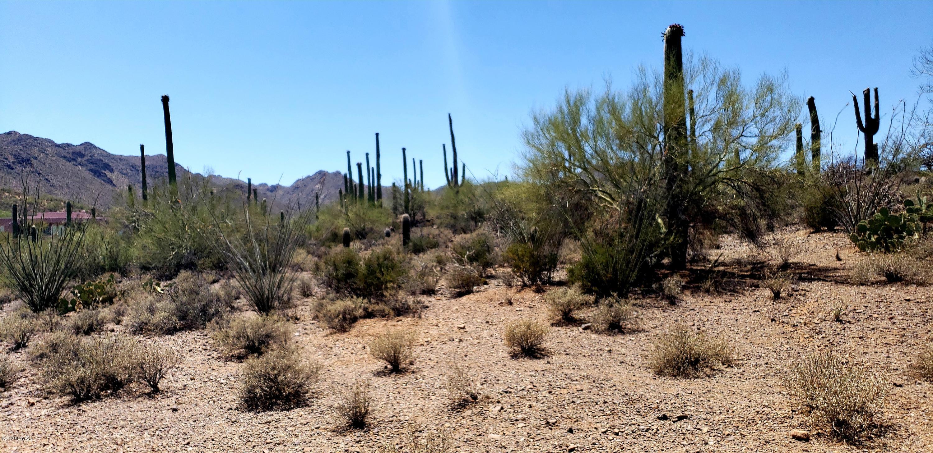 Saguaro Cliffs (1-61) - Land