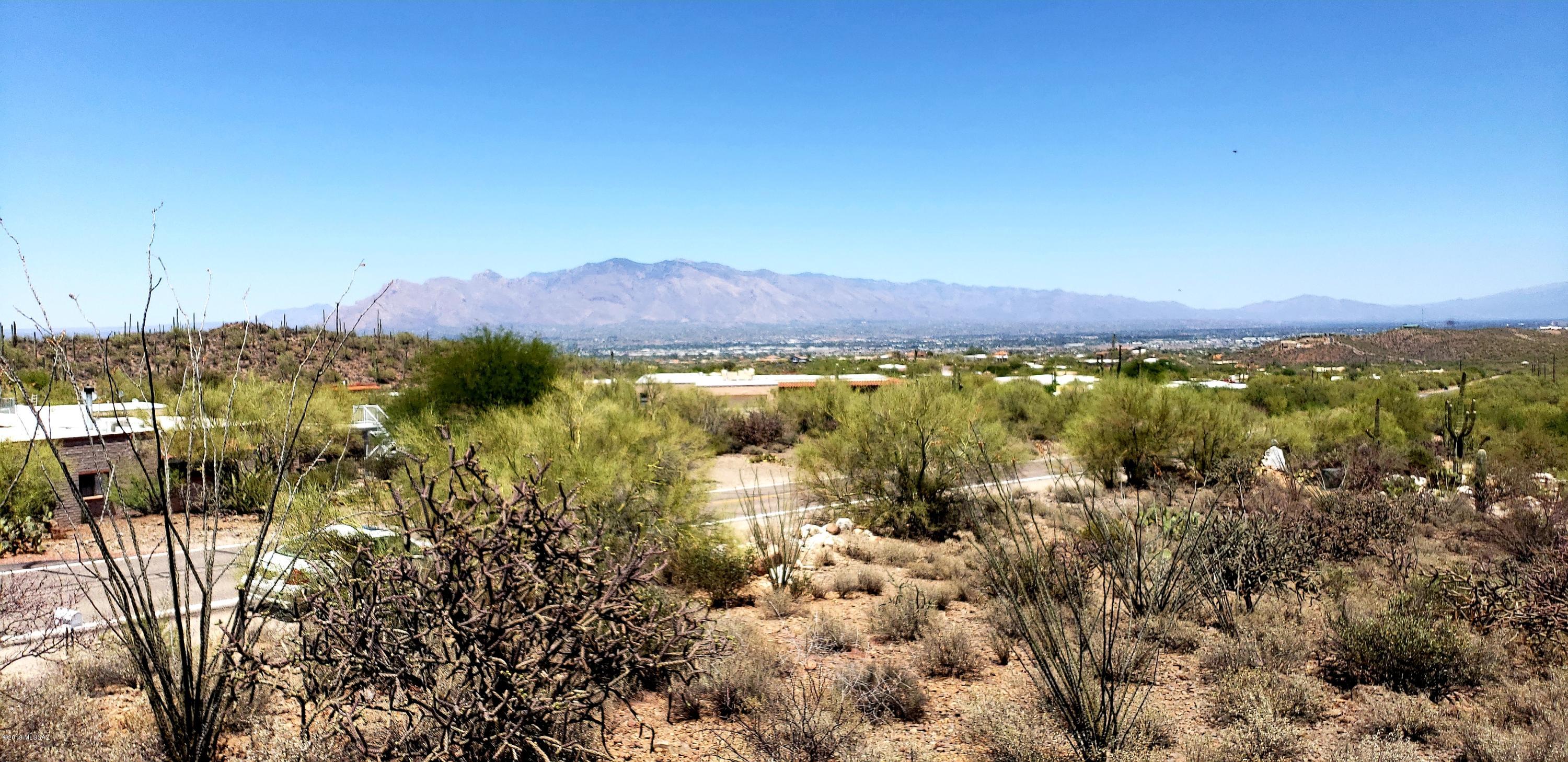 Saguaro Cliffs (1-61) - Land