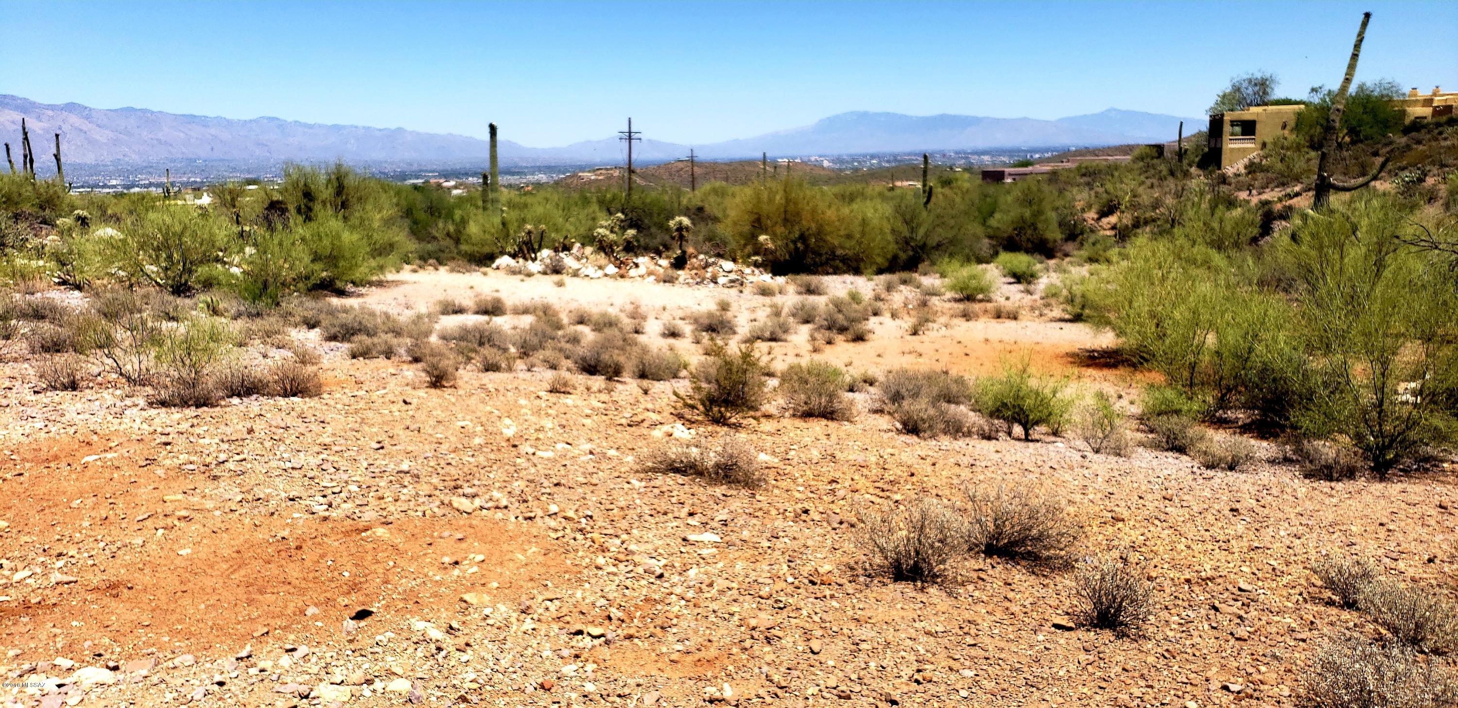 Saguaro Cliffs (1-61) - Land