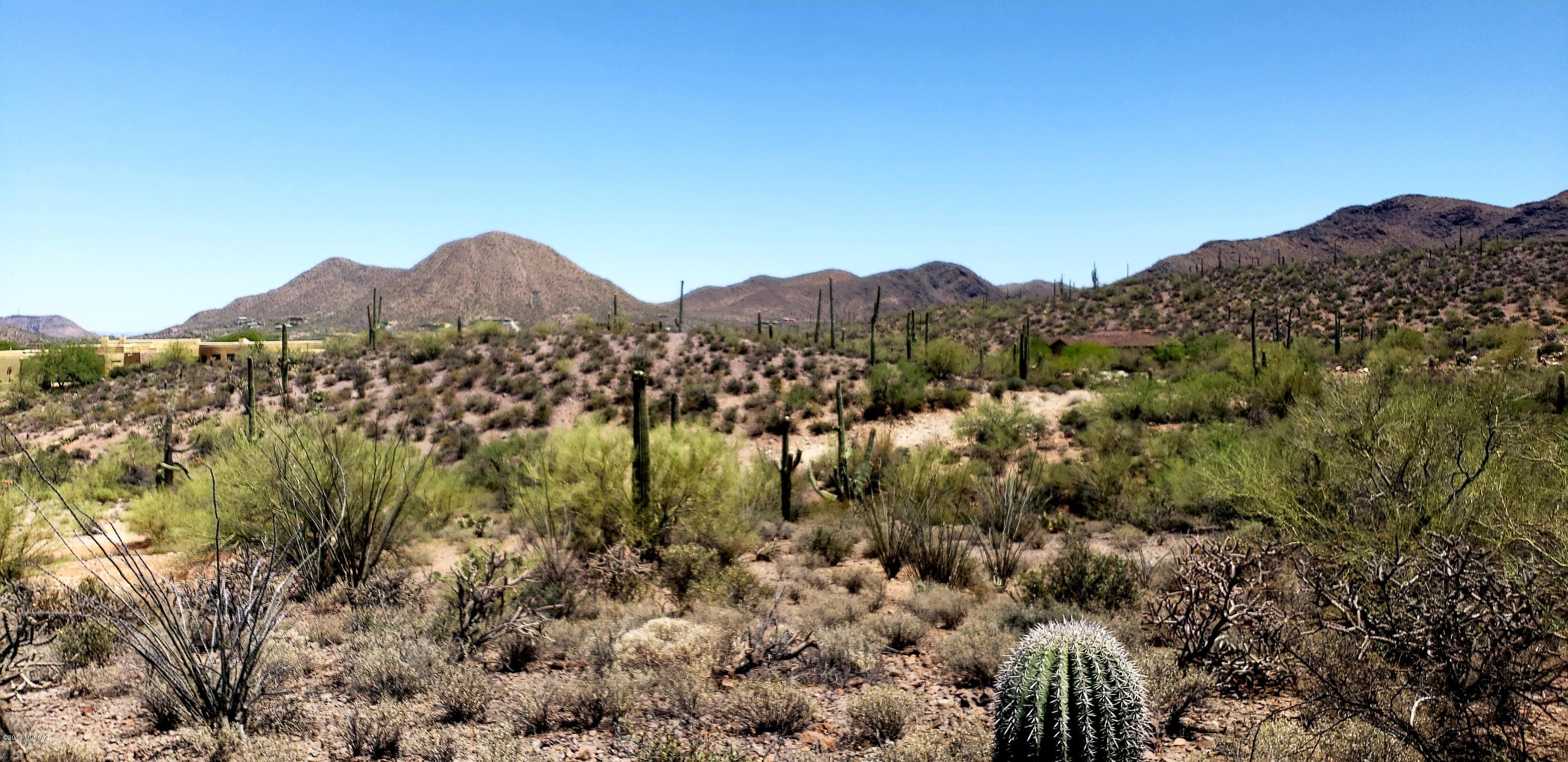 Saguaro Cliffs (1-61) - Land
