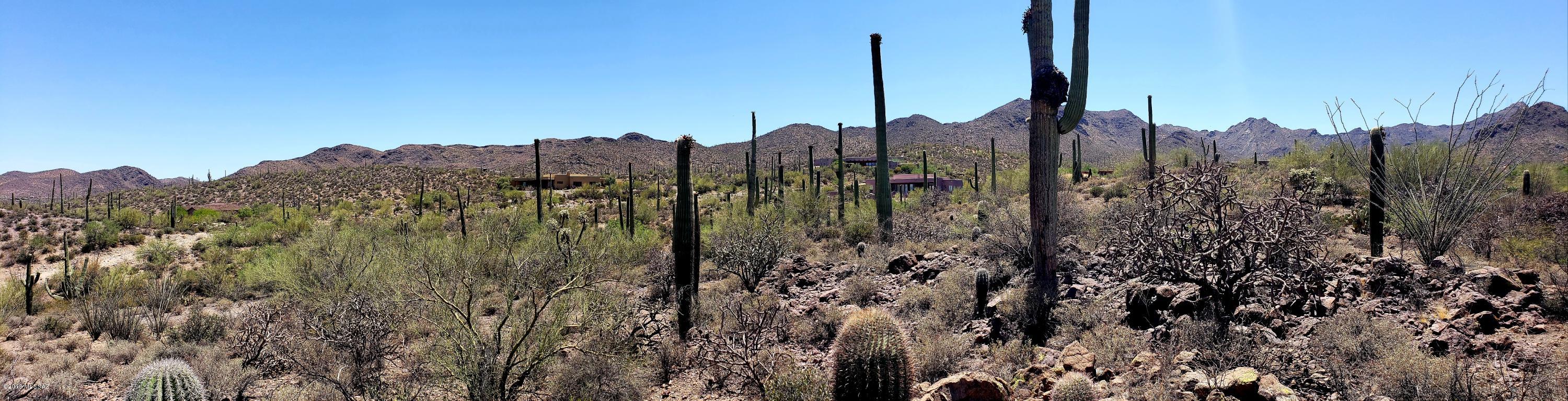 Saguaro Cliffs (1-61) - Land