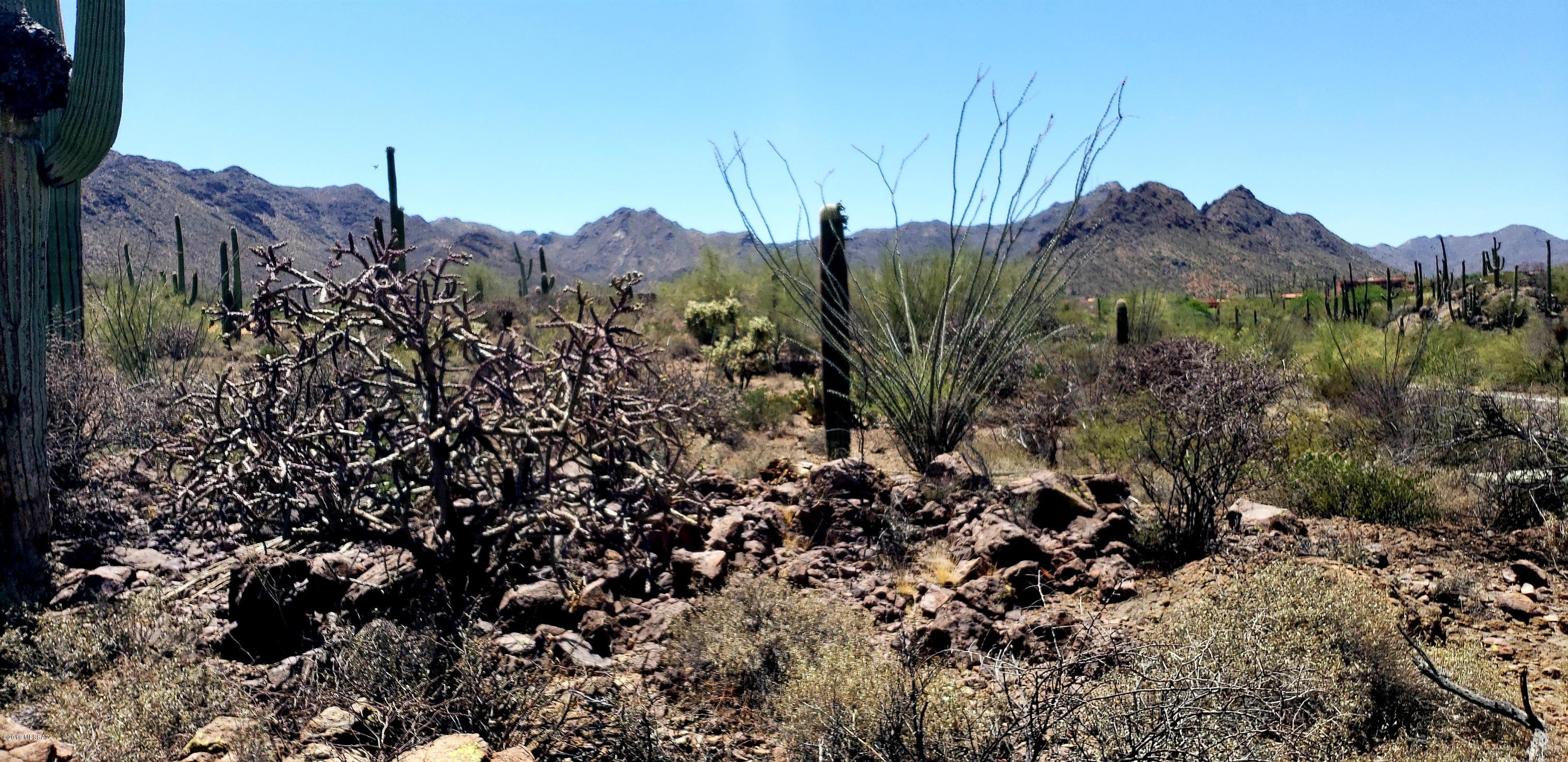 Saguaro Cliffs (1-61) - Land