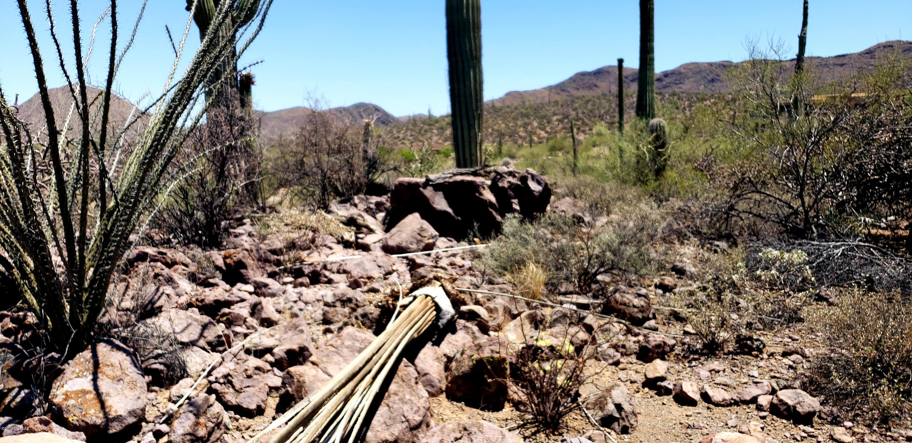 Saguaro Cliffs (1-61) - Land
