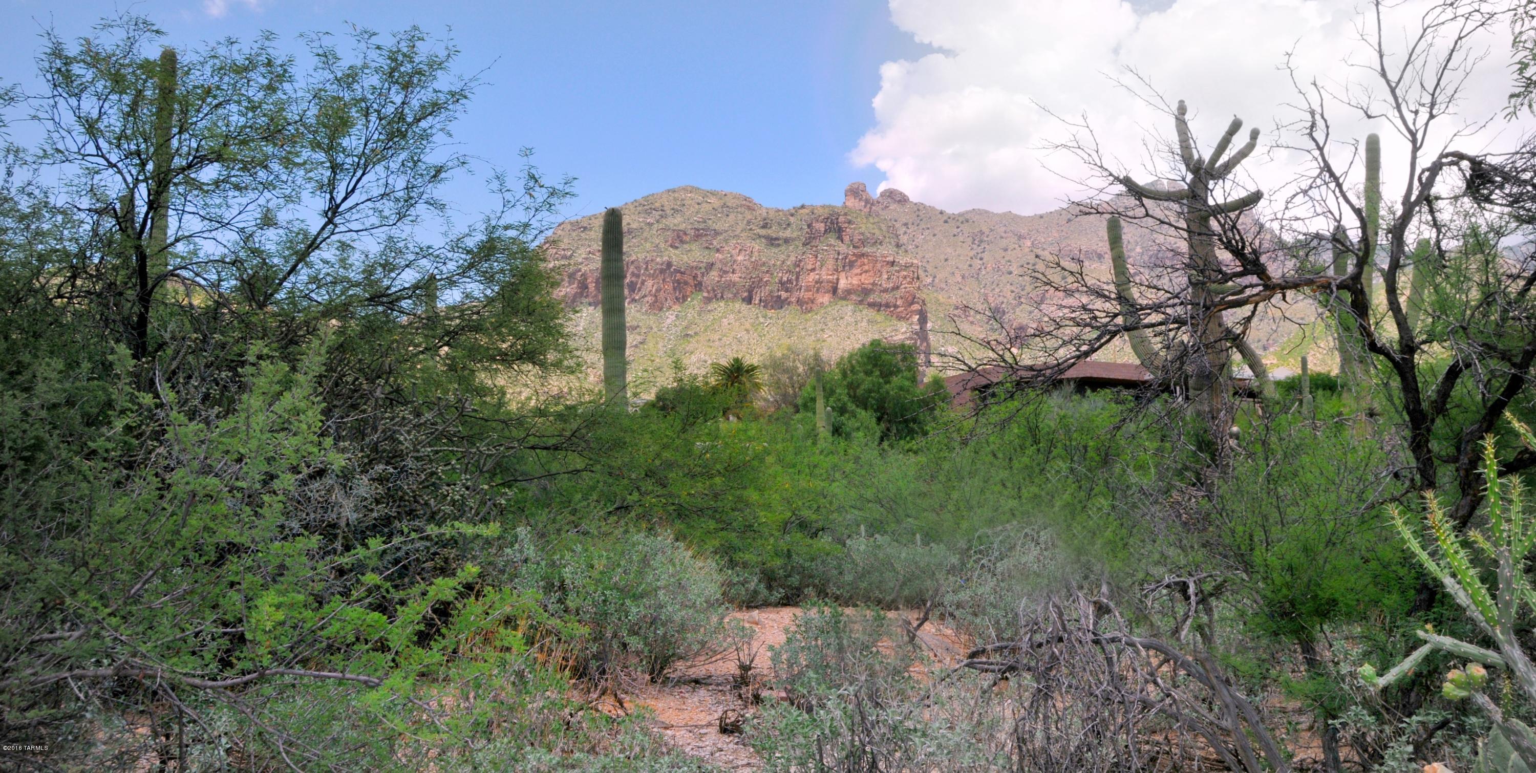 Catalina Ridge Estates(1-36) - Land