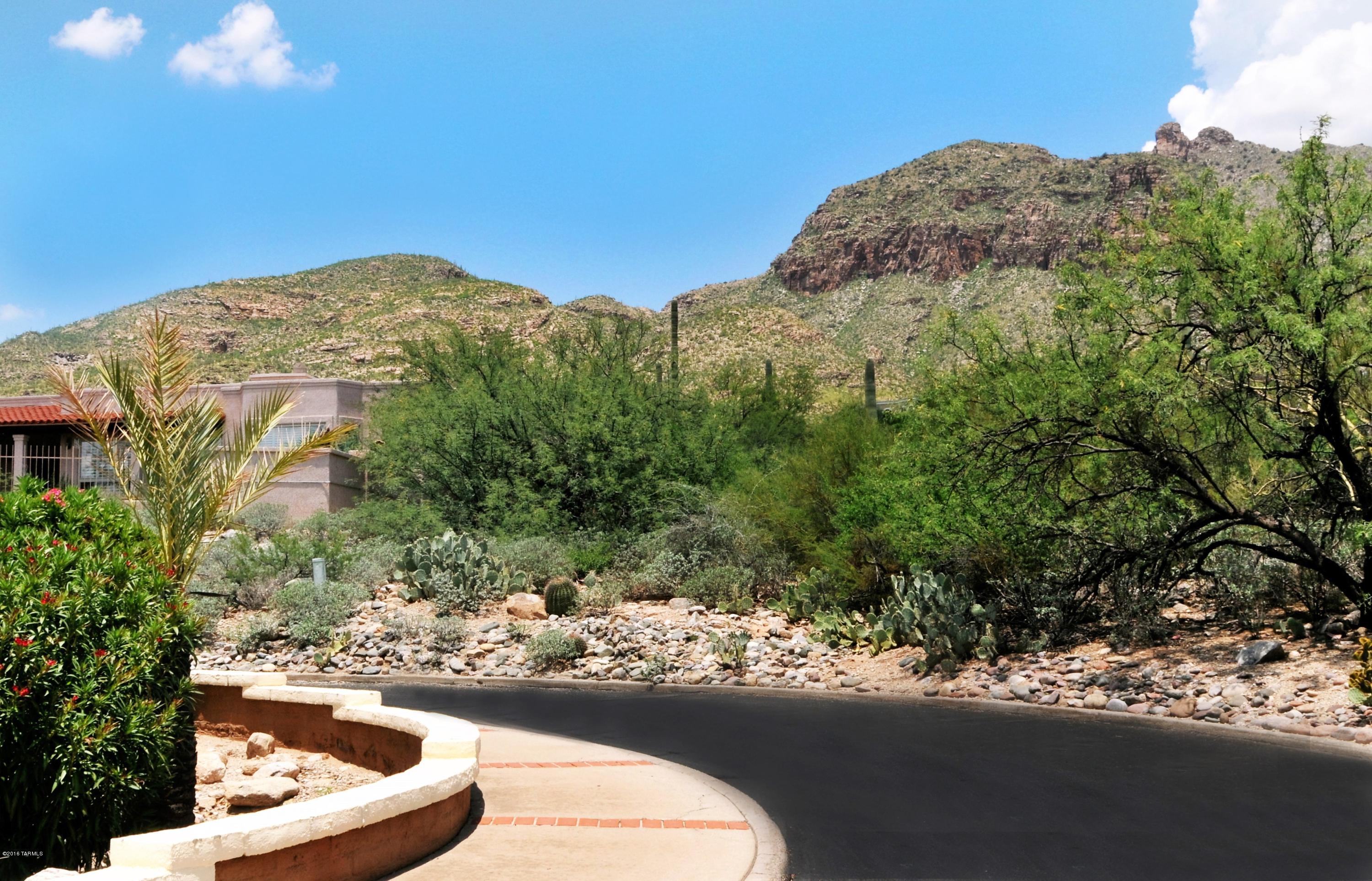 Catalina Ridge Estates(1-36) - Land