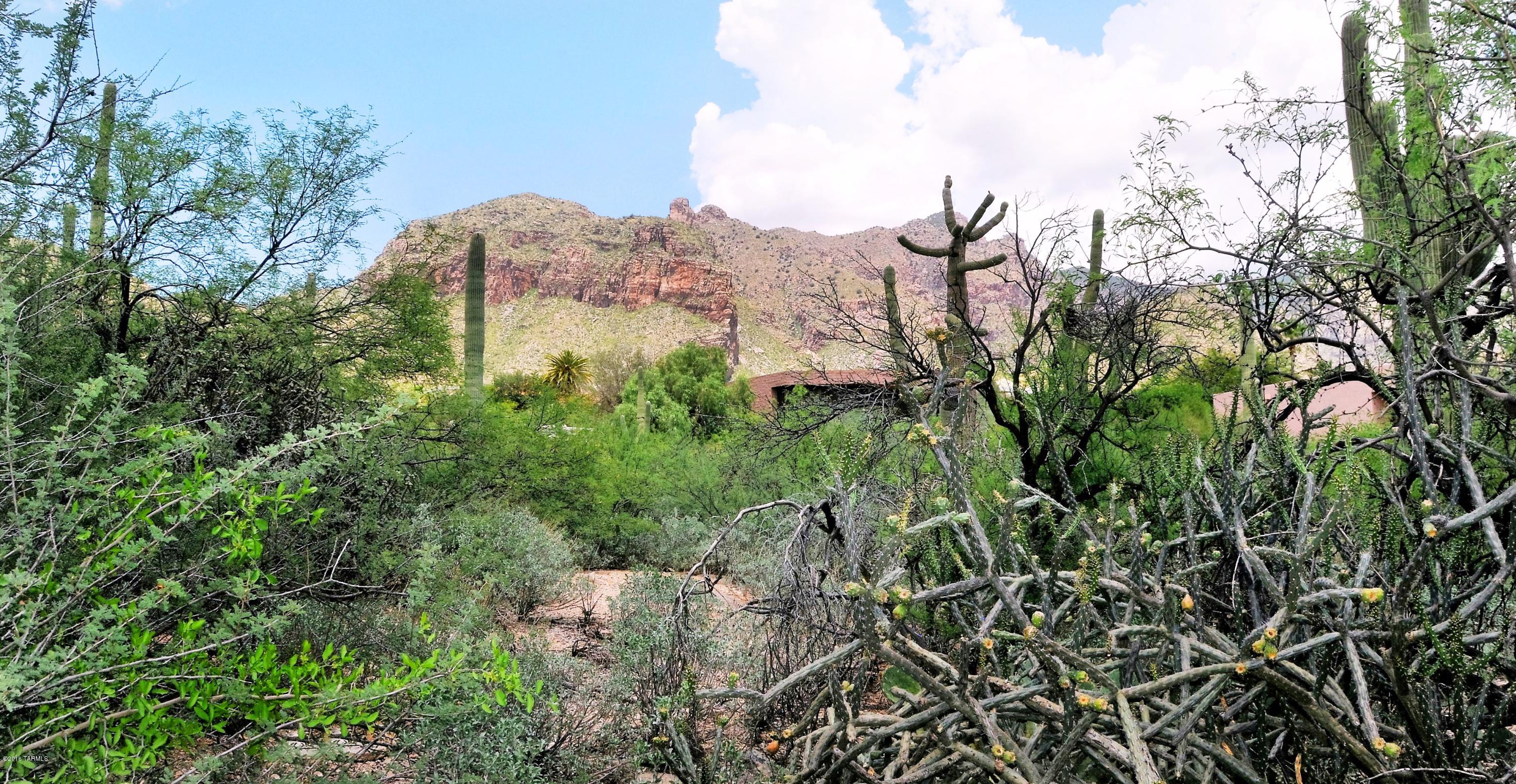 Catalina Ridge Estates(1-36) - Land