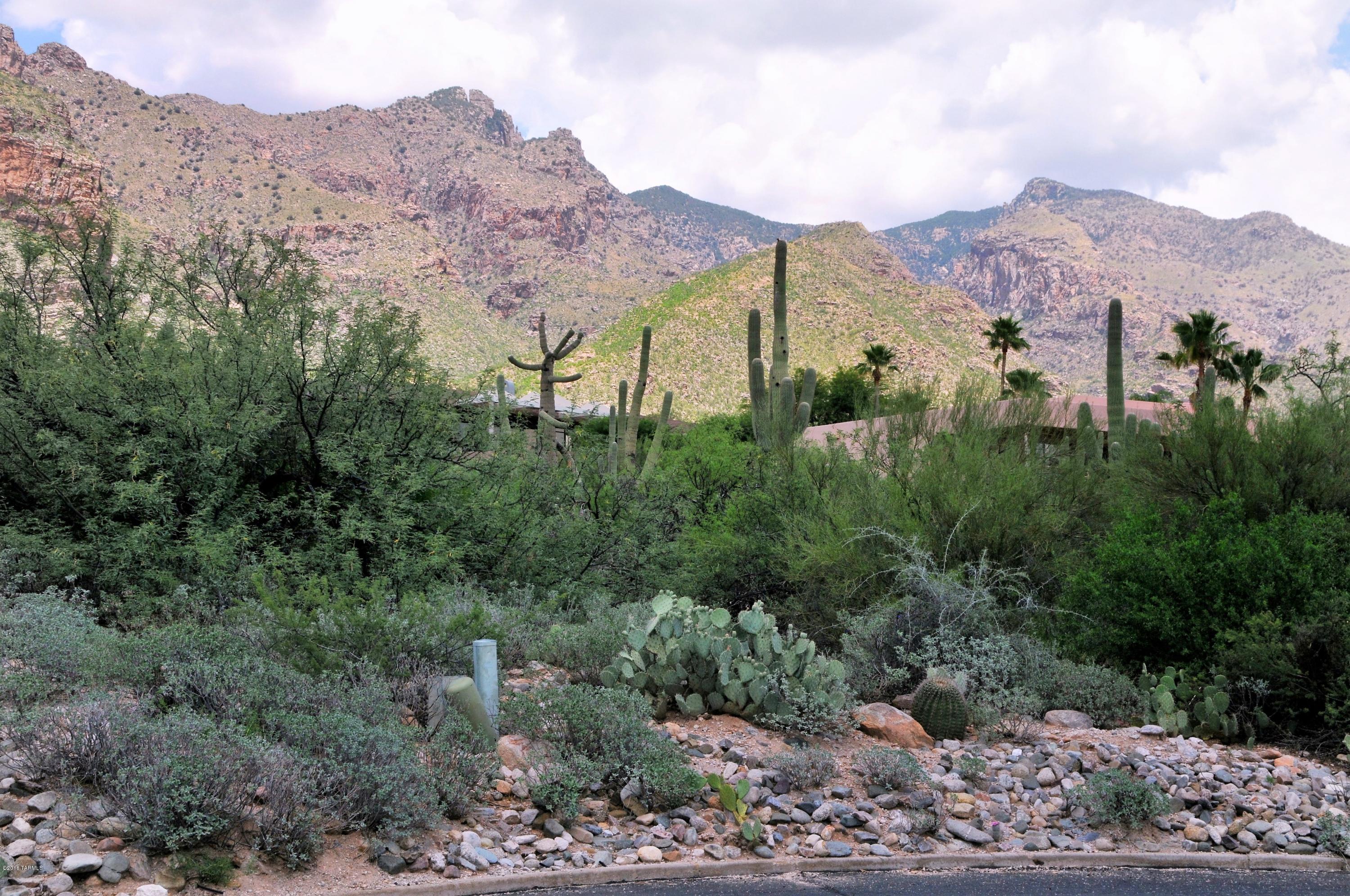 Catalina Ridge Estates(1-36) - Land