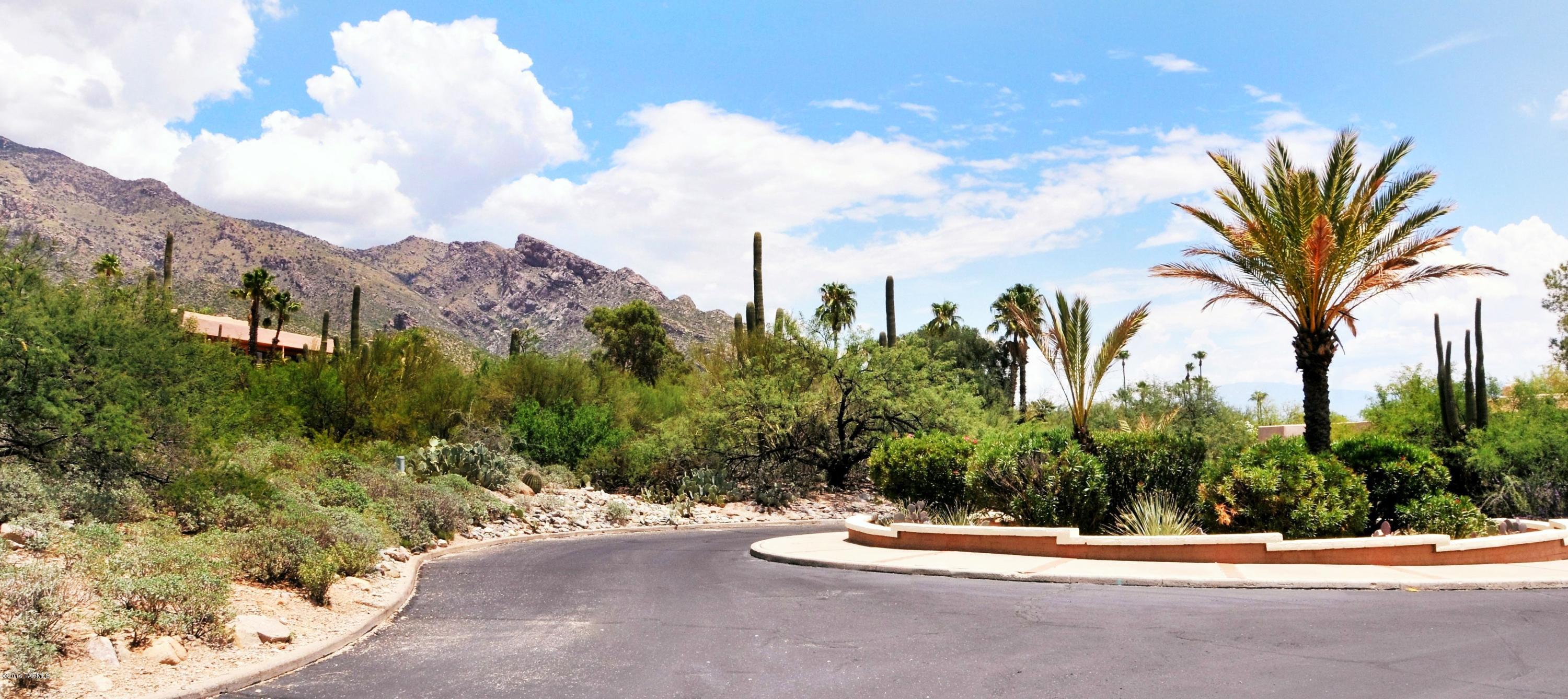 Catalina Ridge Estates(1-36) - Land