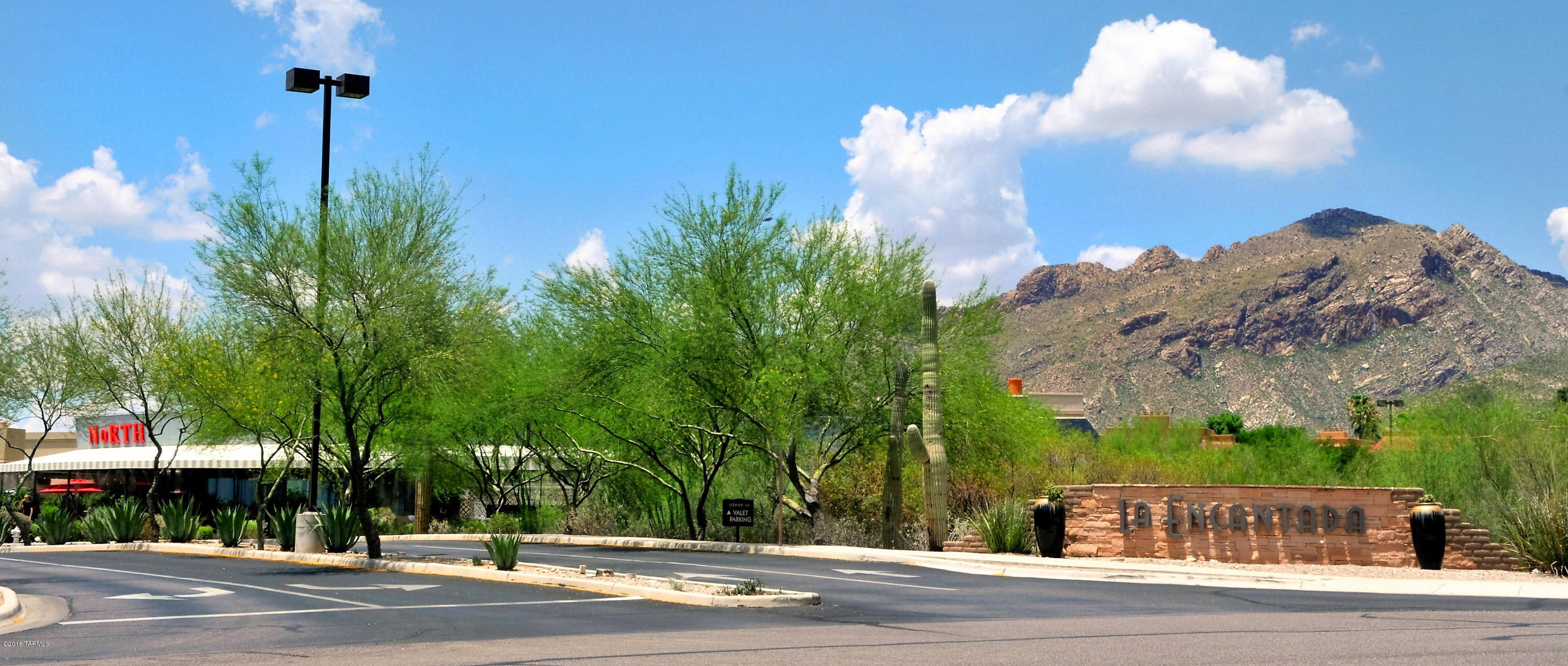 Catalina Ridge Estates(1-36) - Land