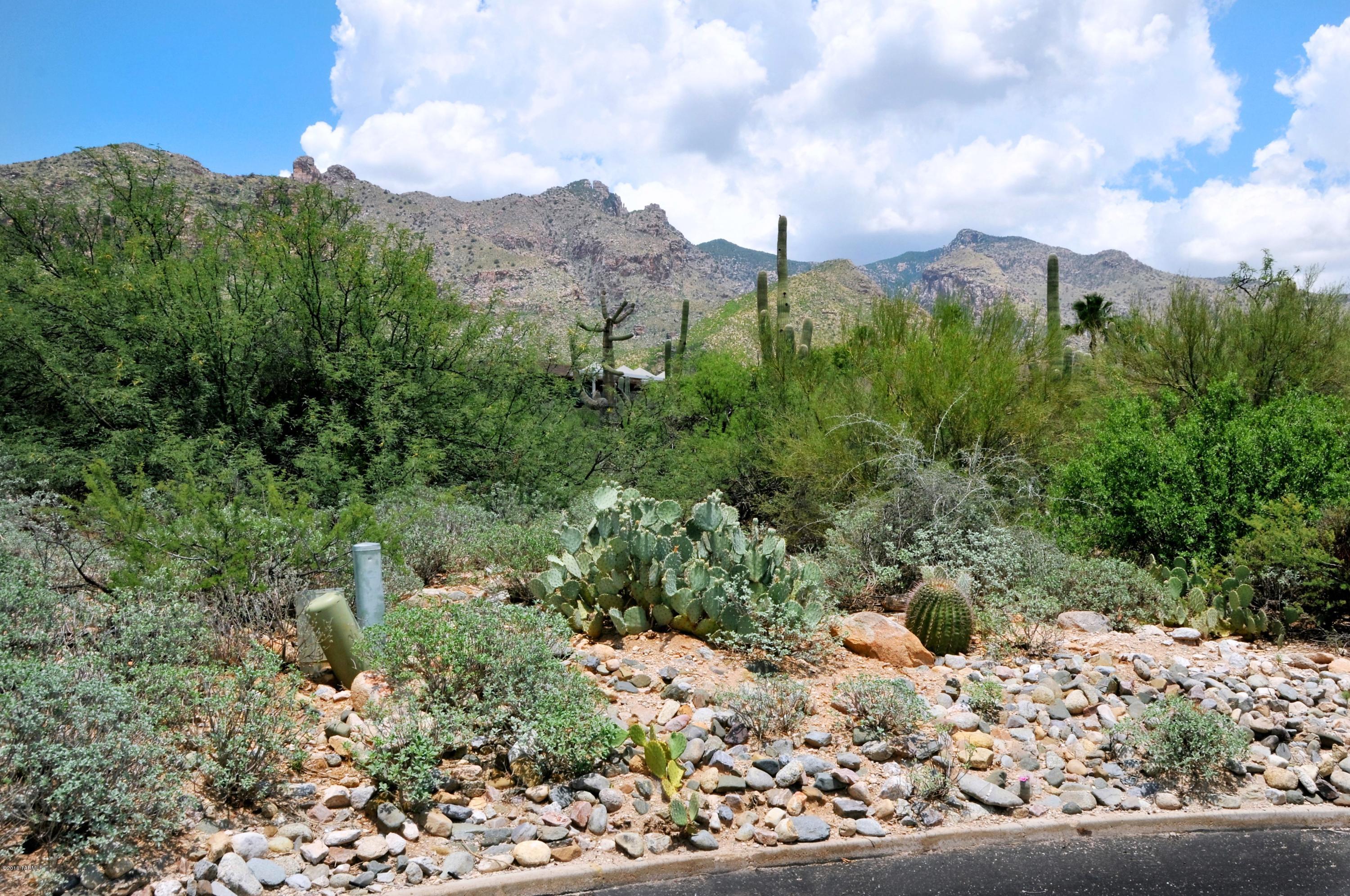Catalina Ridge Estates(1-36) - Land