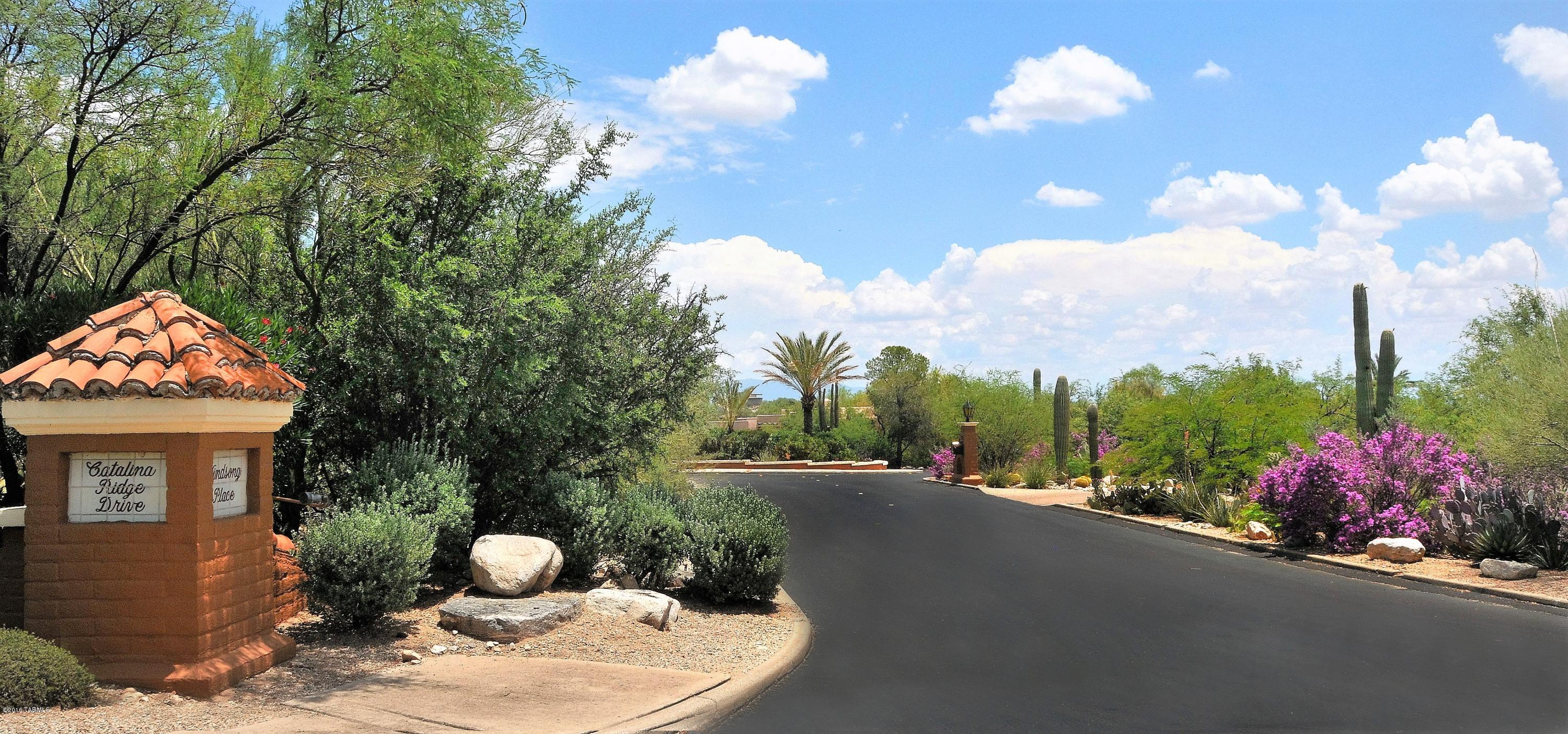 Catalina Ridge Estates(1-36) - Land