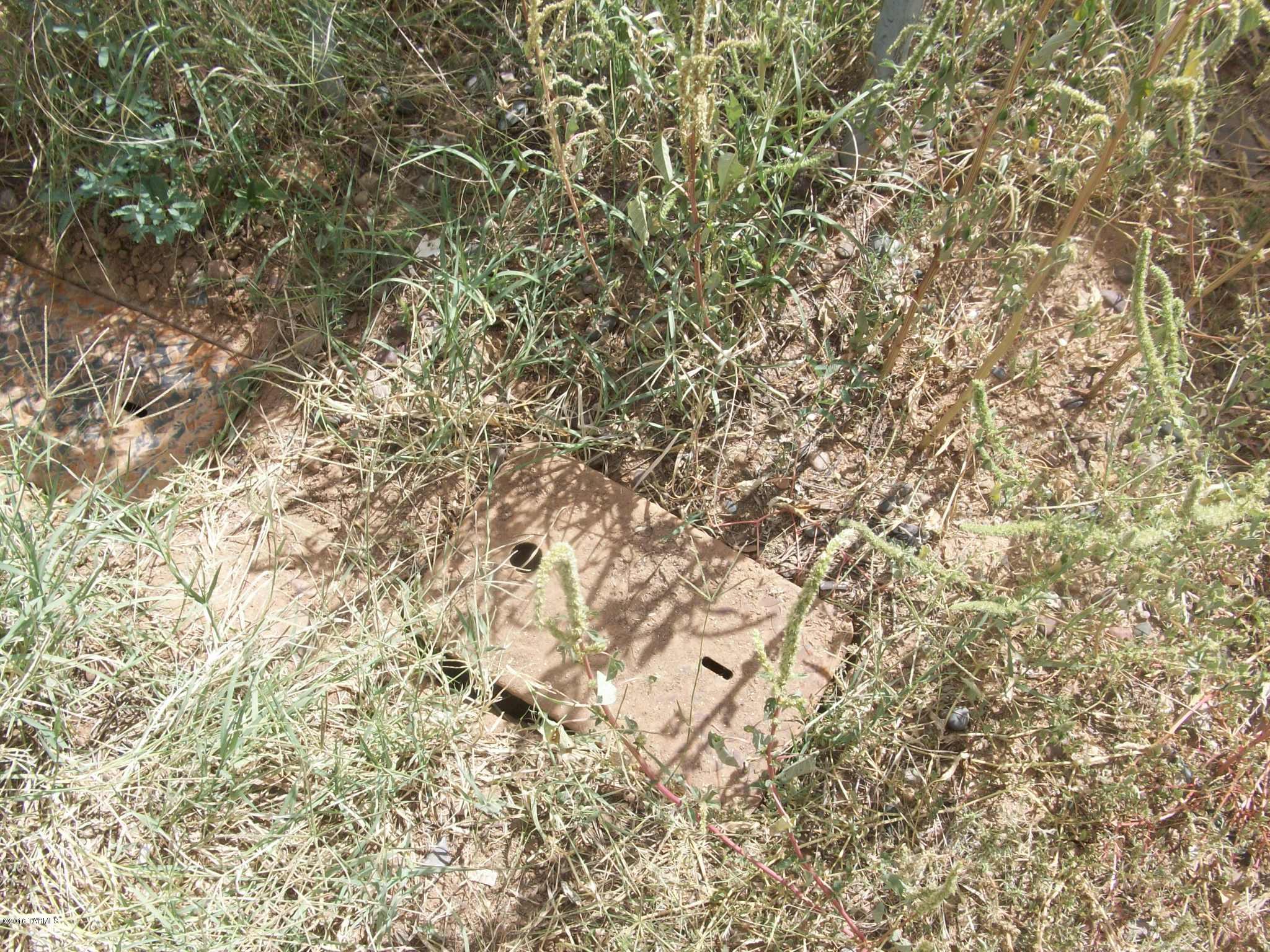 Branding Iron Park - Land