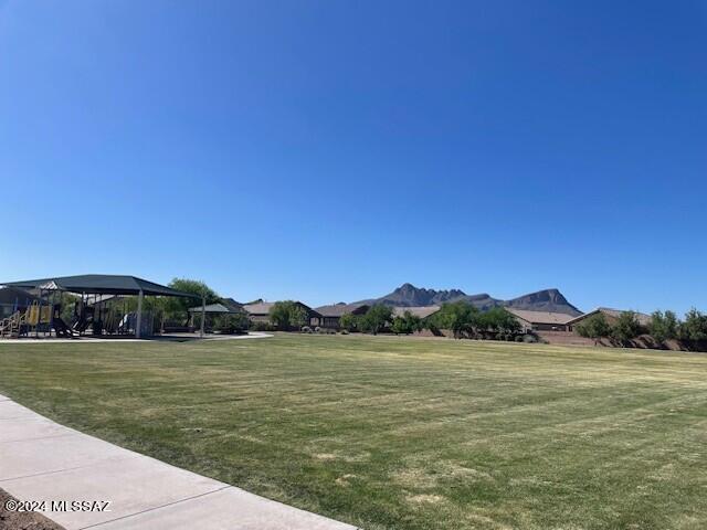 Saguaro Bloom Blocks 5 & 6 - Residential