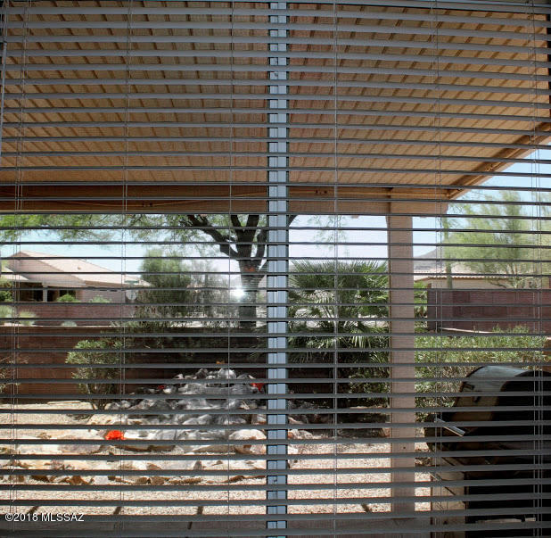 Continental Ranch Sunflower Phase V (557-729) - Residential