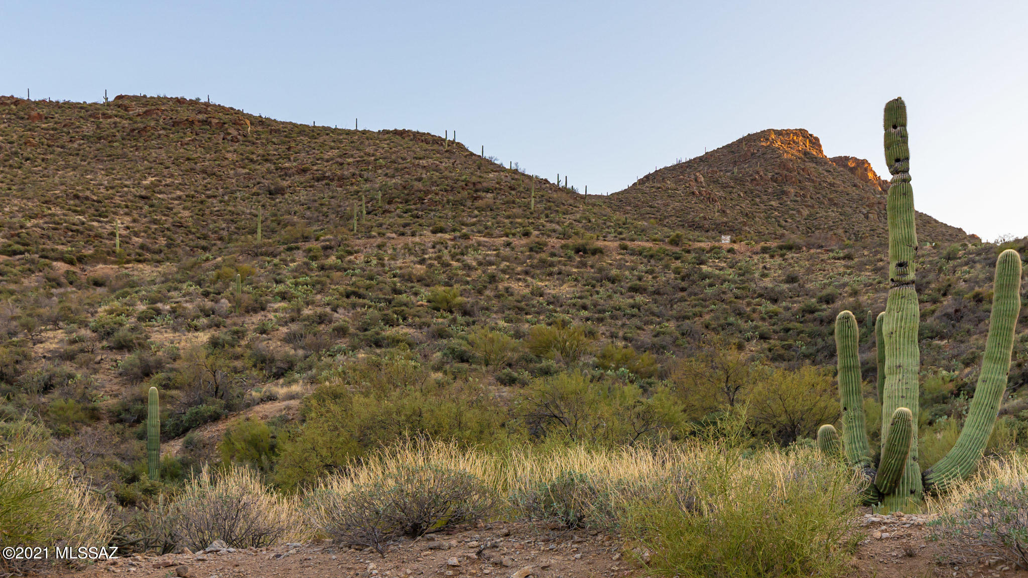 Trails End Estates (1-44) - Land