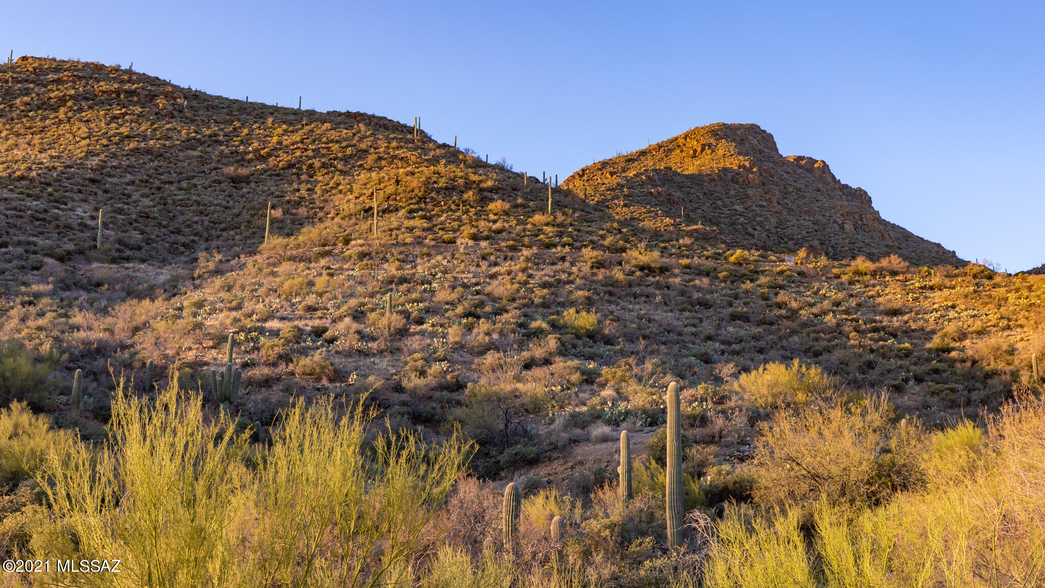 Trails End Estates (1-44) - Land
