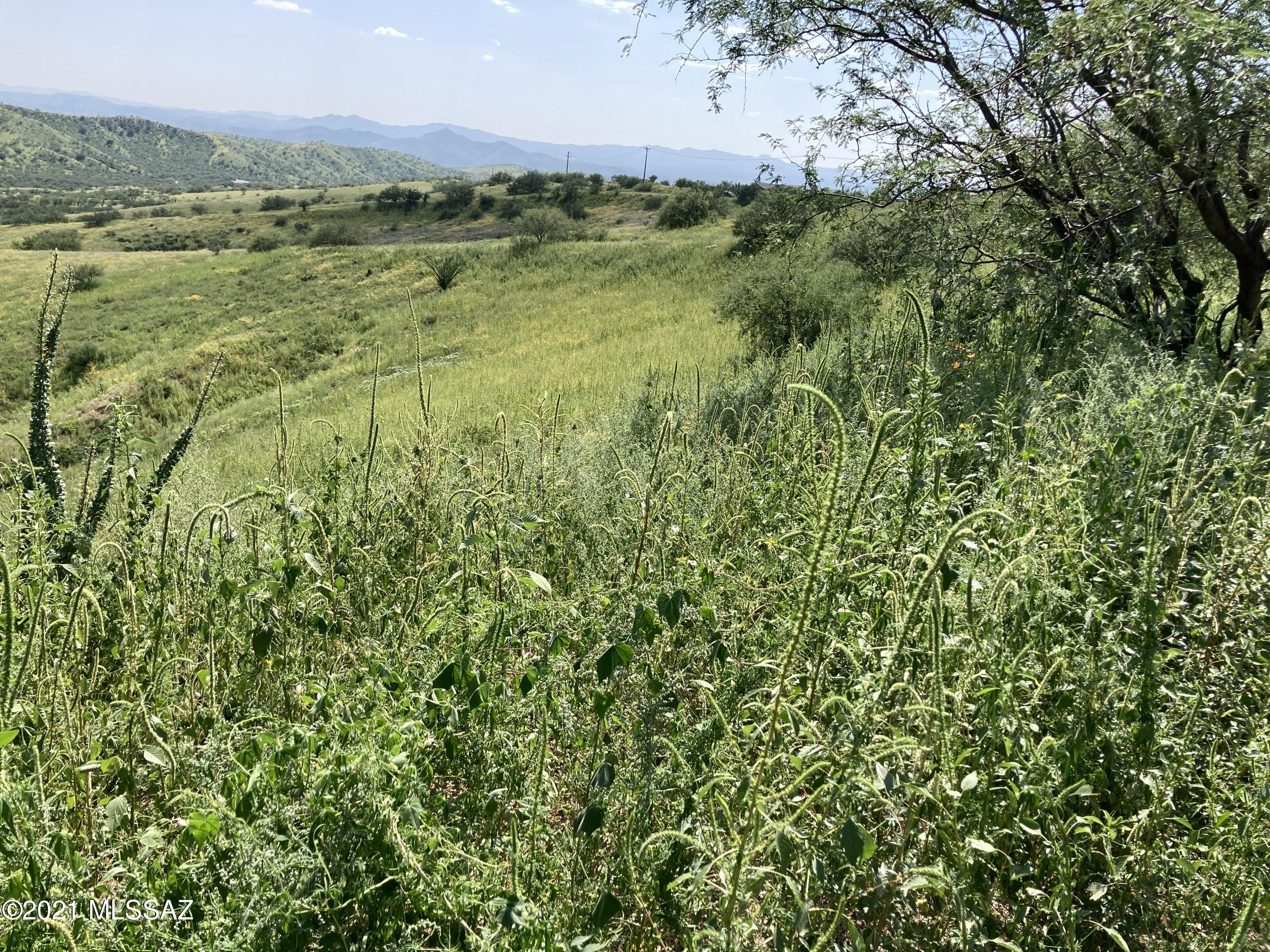 Lake Patagonia Ranch - Land
