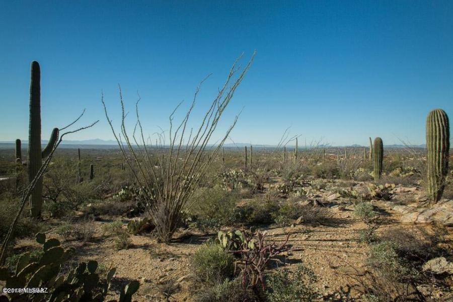 Estrella Vista Estates (1-23) - Land