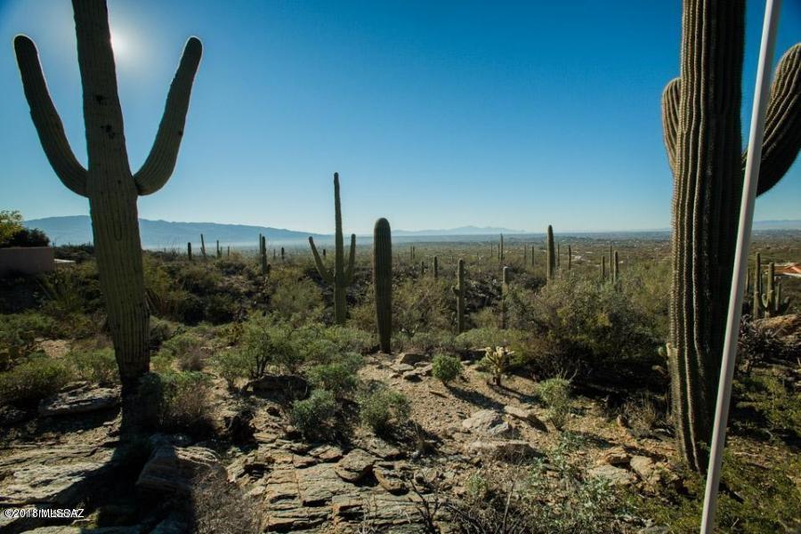 **HUGE Price Reduction, Seller Says to Sell NOW**. Terrific elevated custom home lot in Tucson's Northeast. This spectacular lot has unobstructed views of Coronado forest/Catalinas with clear Tucson city views. This lot is located in a gated community with many million dollar custom homes! This lot is minutes away from Mount Lemmon and AZ National Golf Course. Owner says lets make a DEAL!