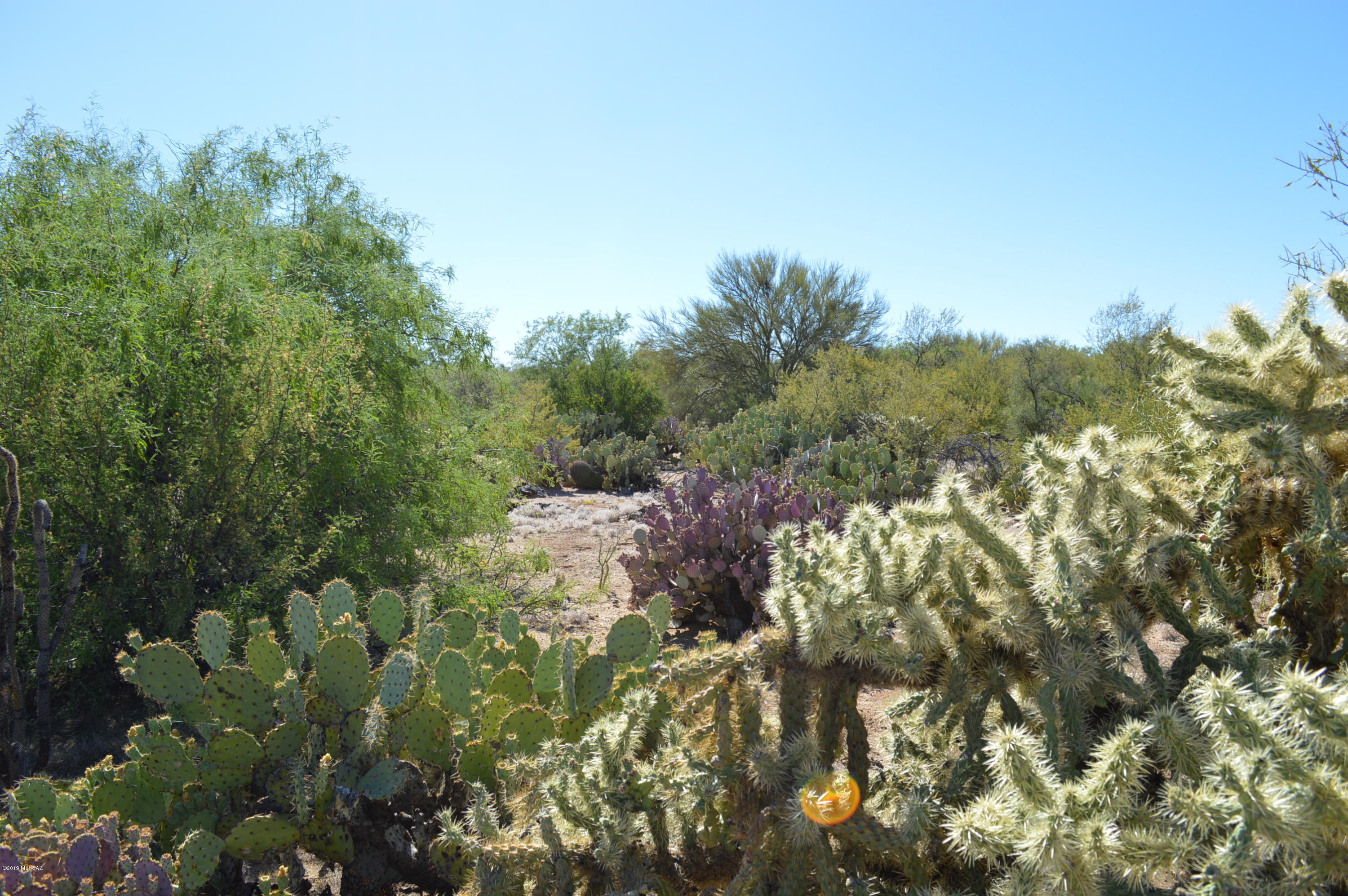 Rancho Buena Vista (30-69) - Land