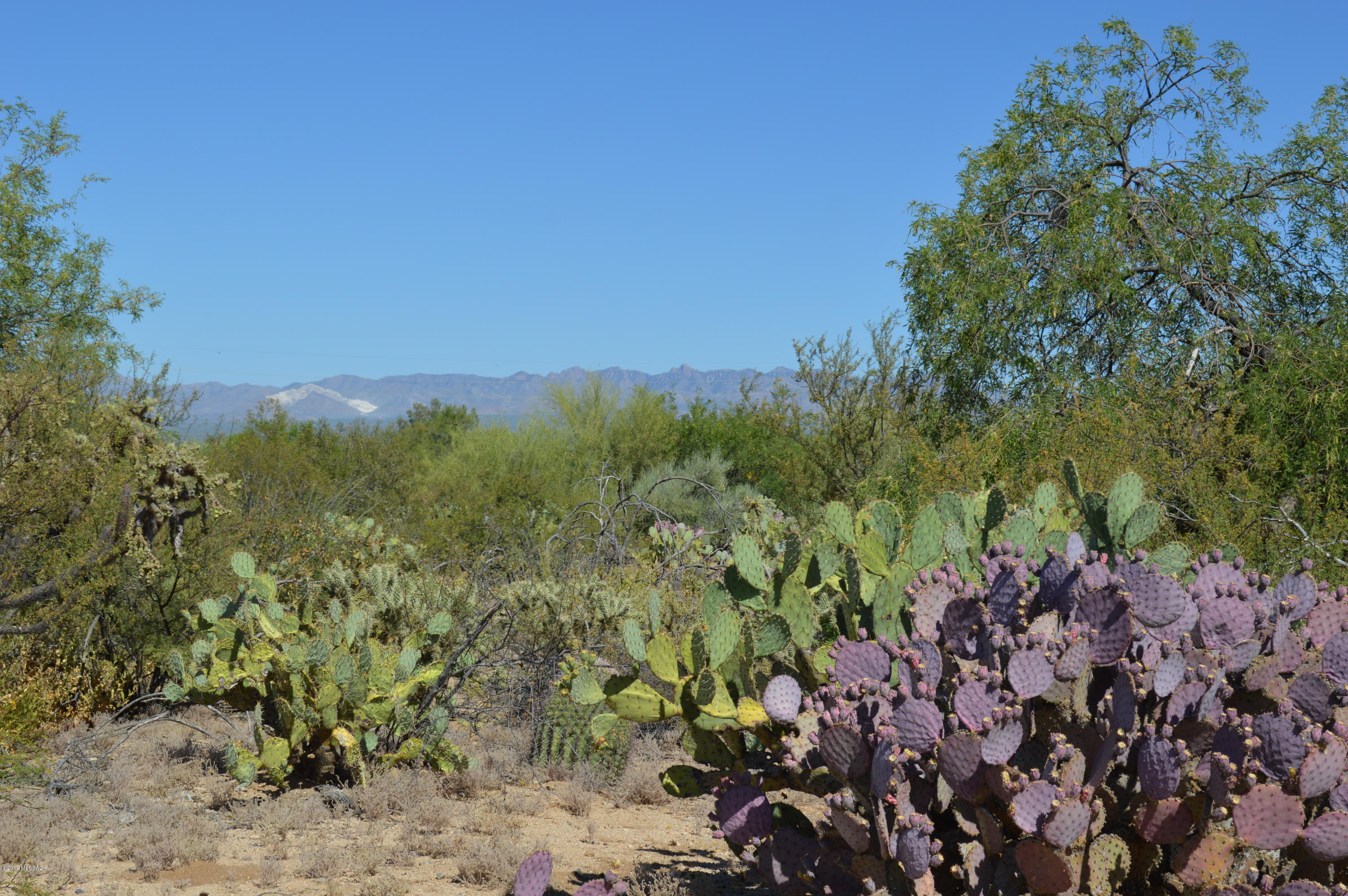 Rancho Buena Vista (30-69) - Land