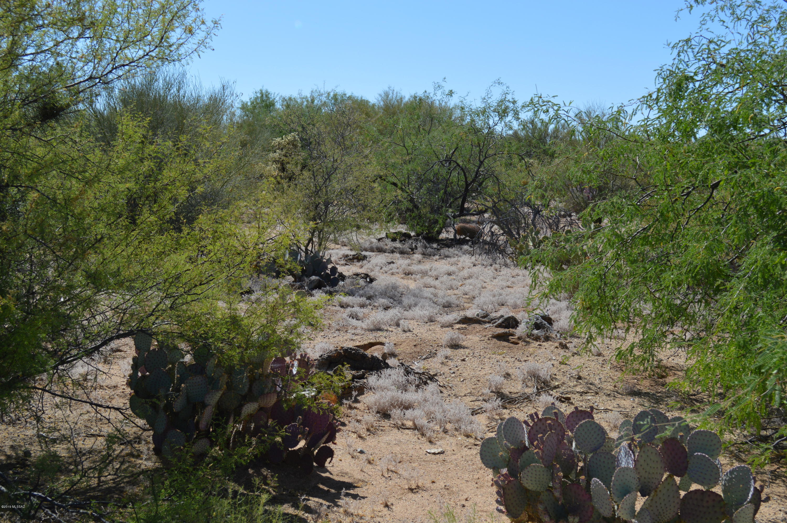 Rancho Buena Vista (30-69) - Land