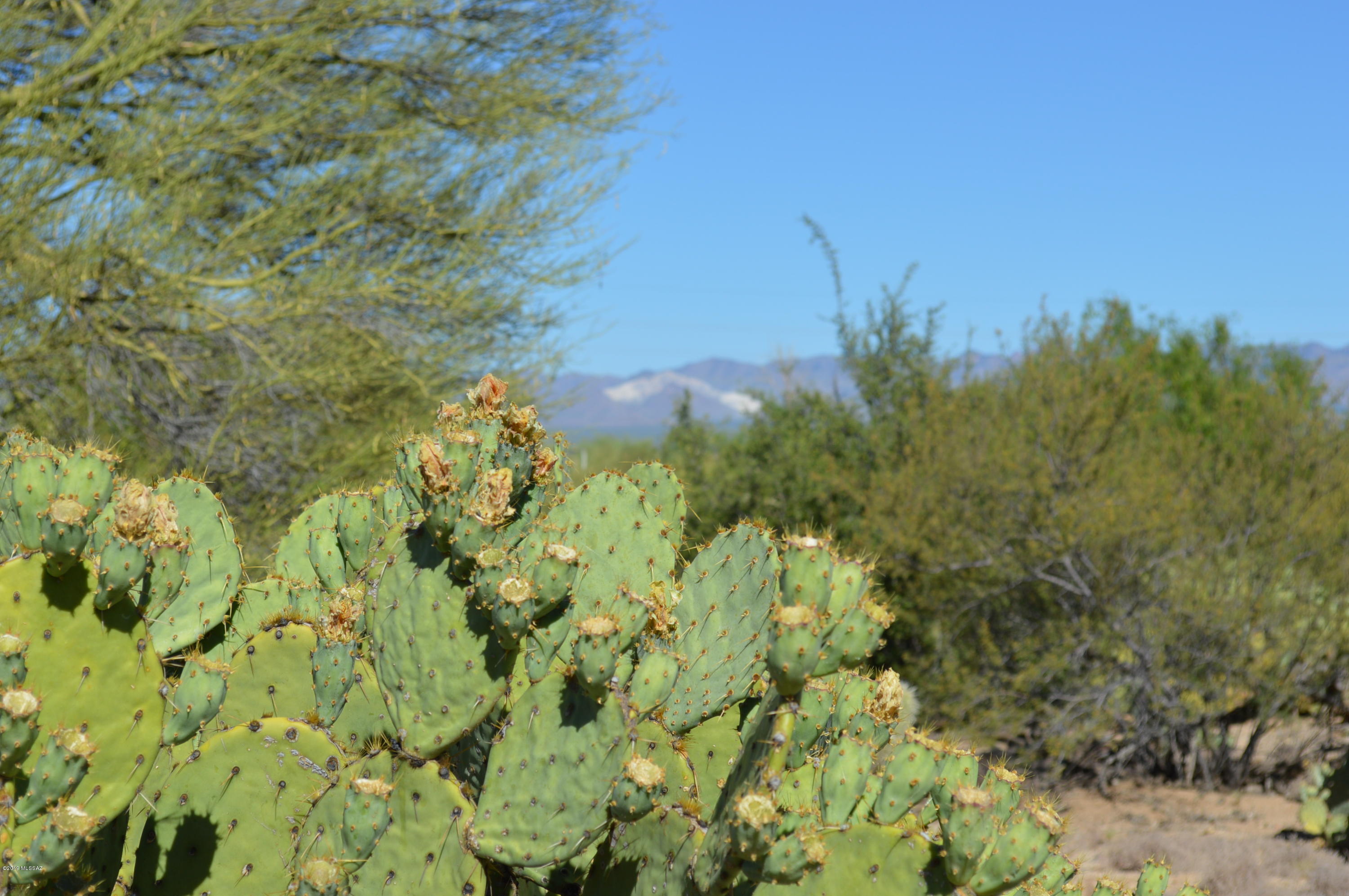 Rancho Buena Vista (30-69) - Land