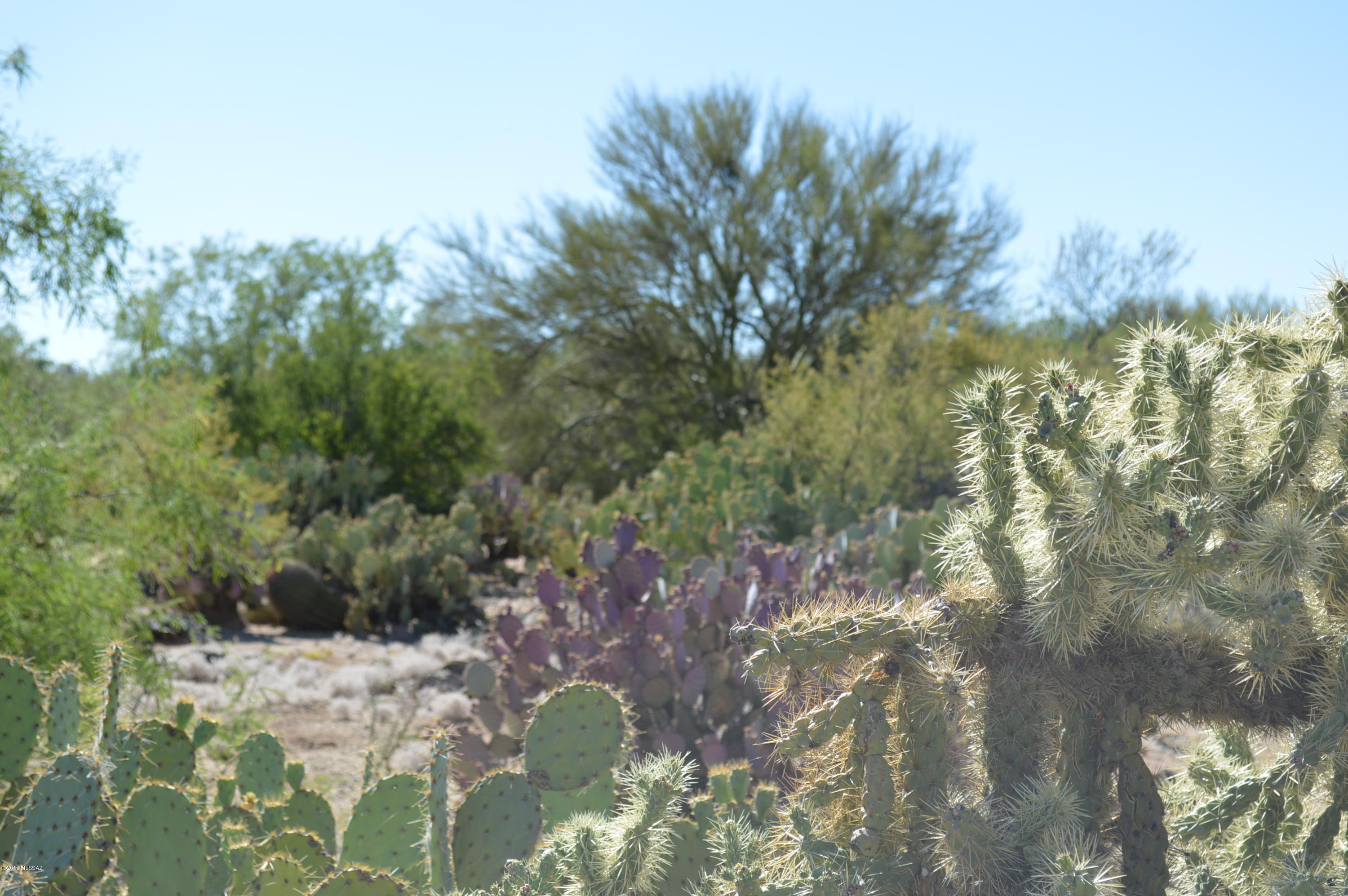 Rancho Buena Vista (30-69) - Land